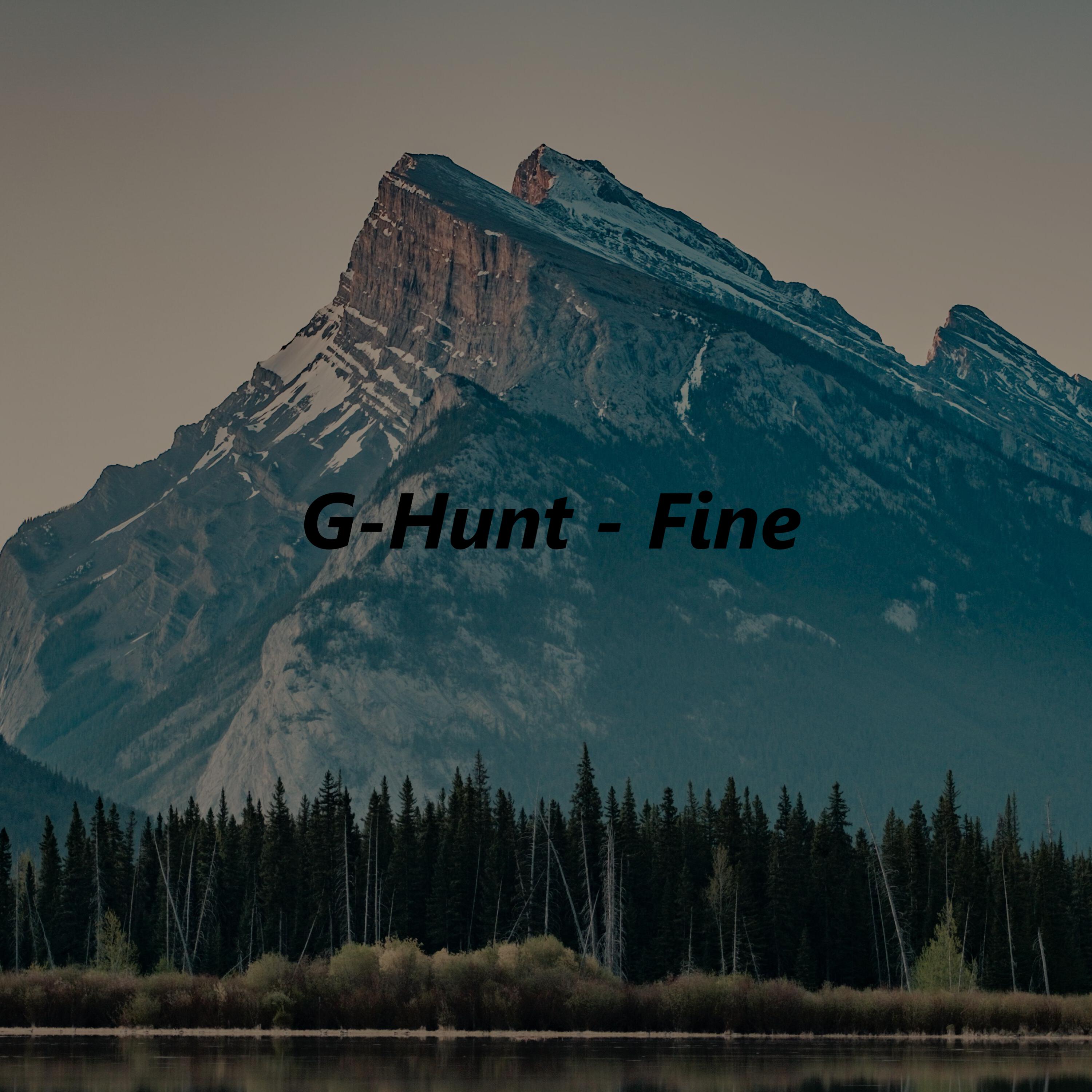 Fine