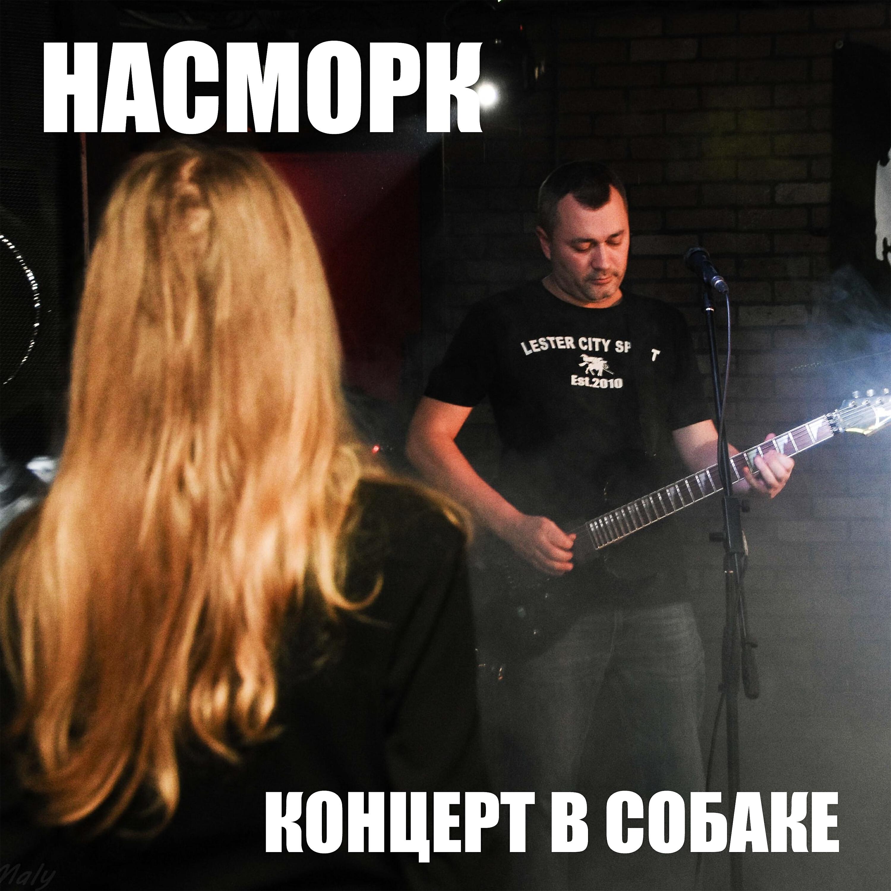 Концерт в Собаке