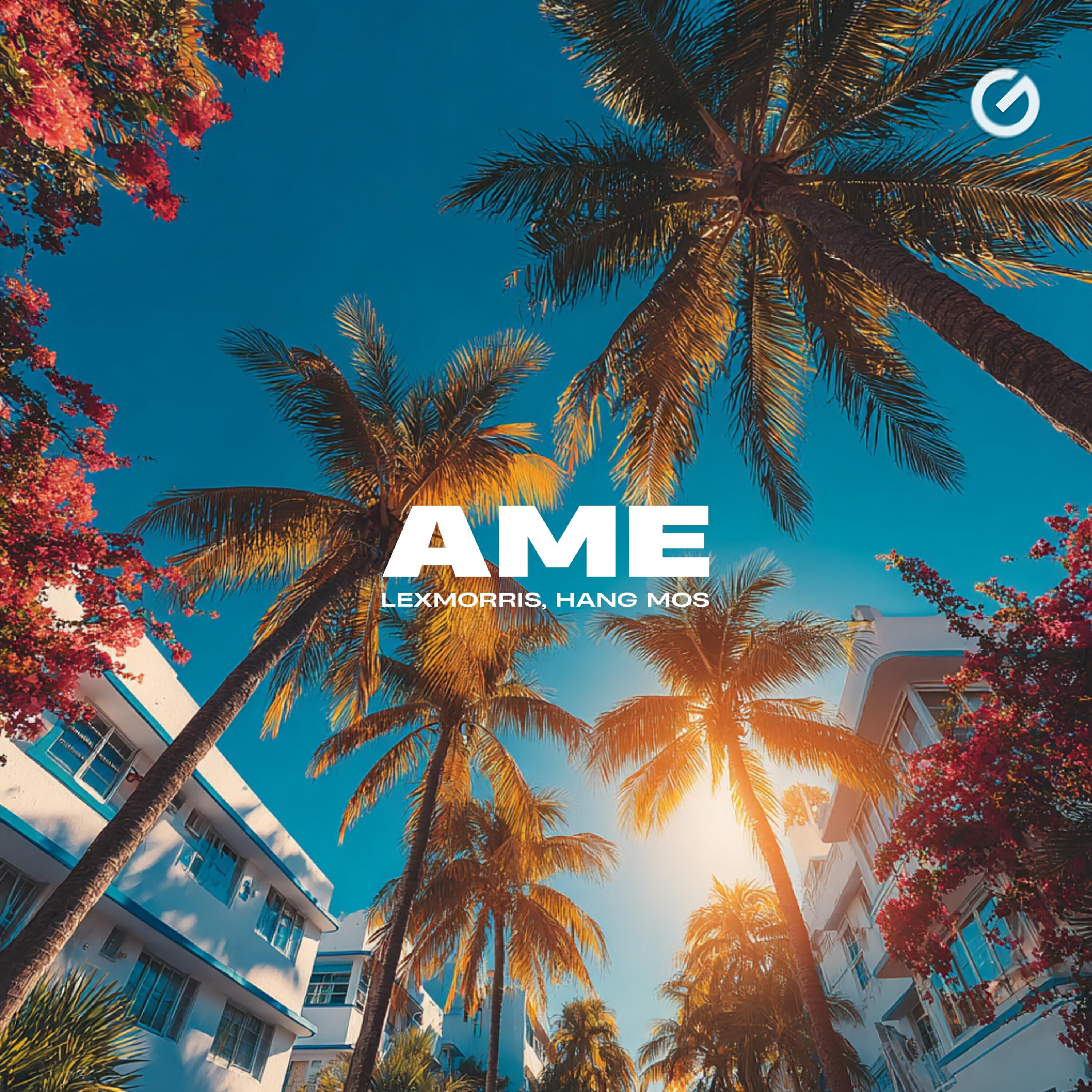 Ame