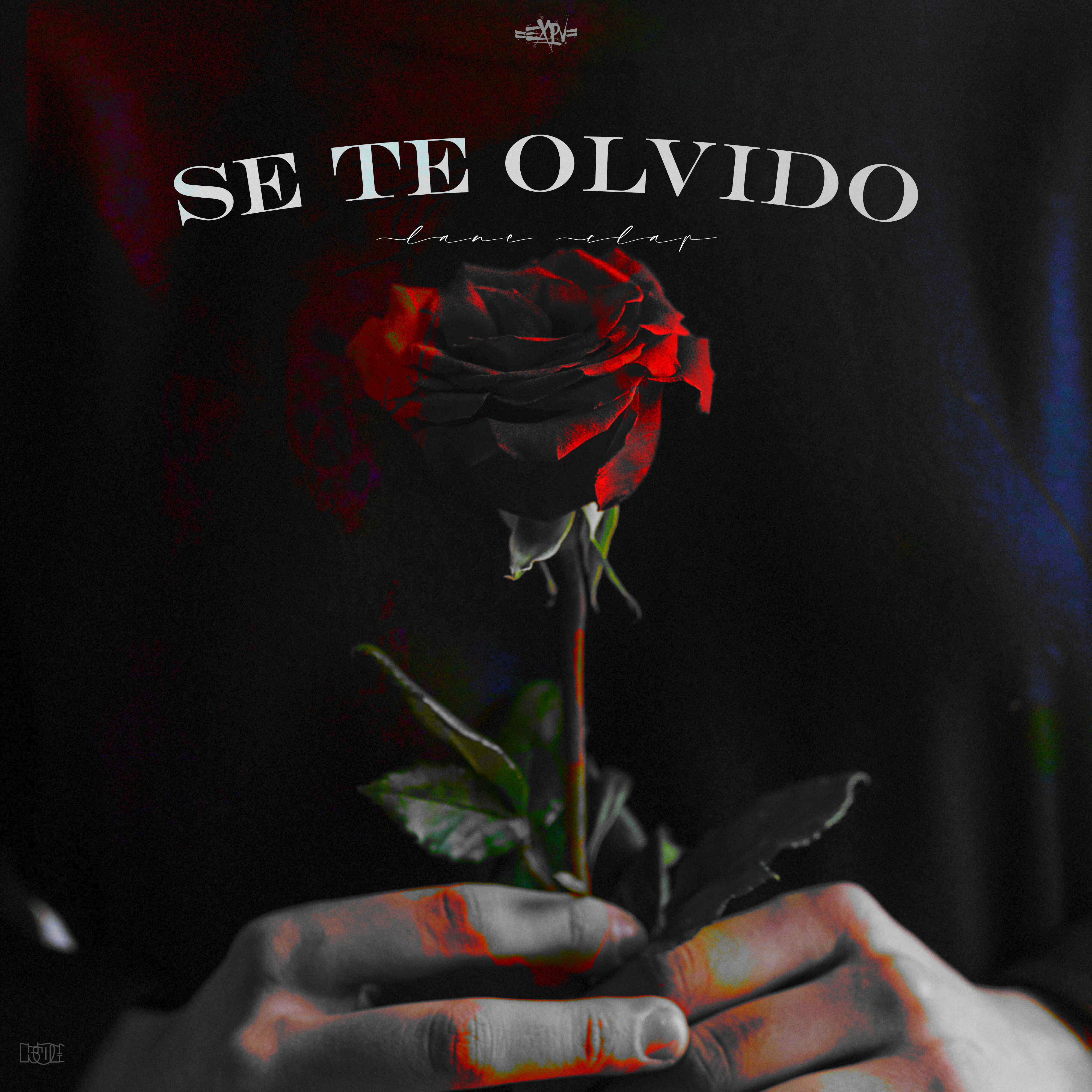 Se Te Olvidó