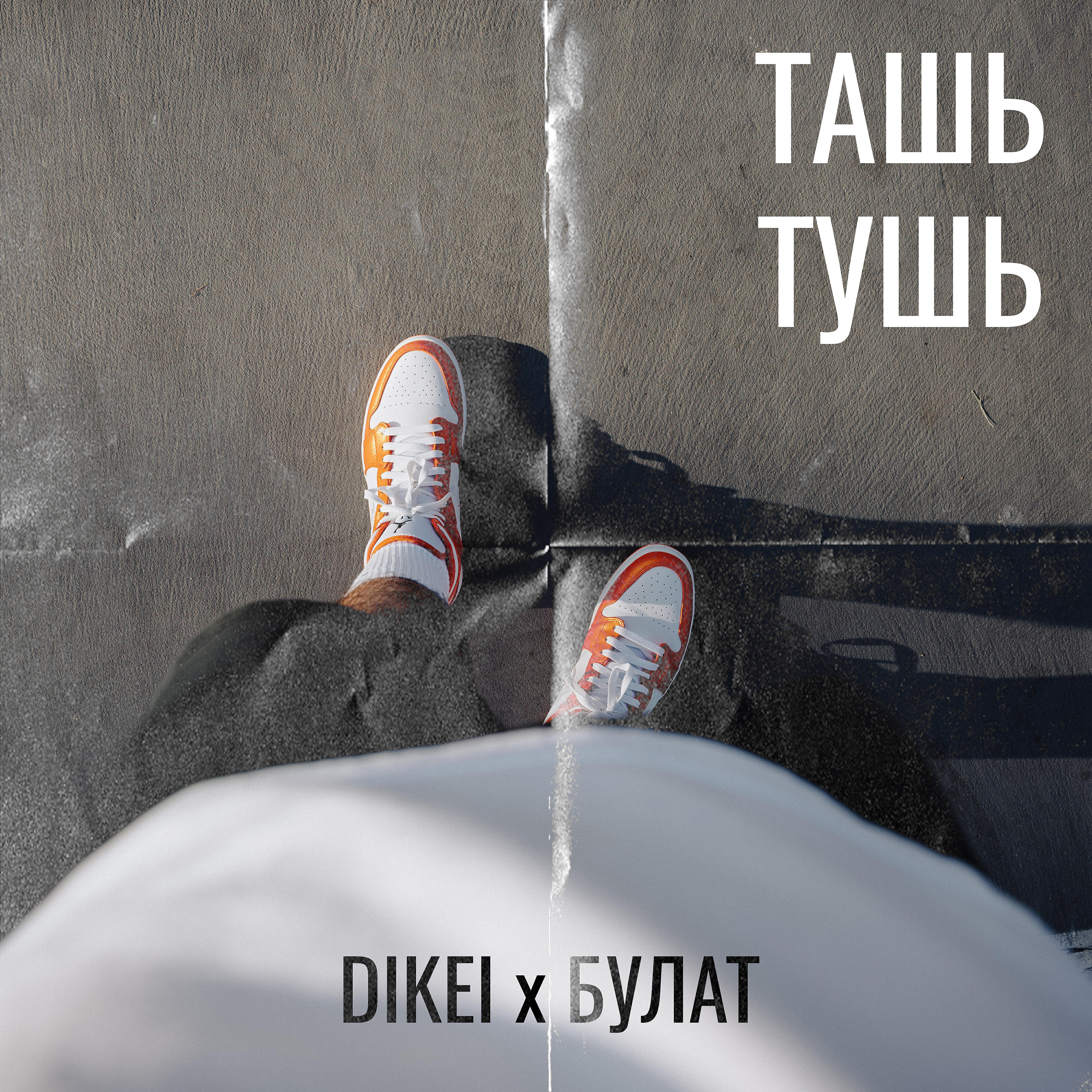 Альбом Ташь-тушь исполнителя dikei, Булат