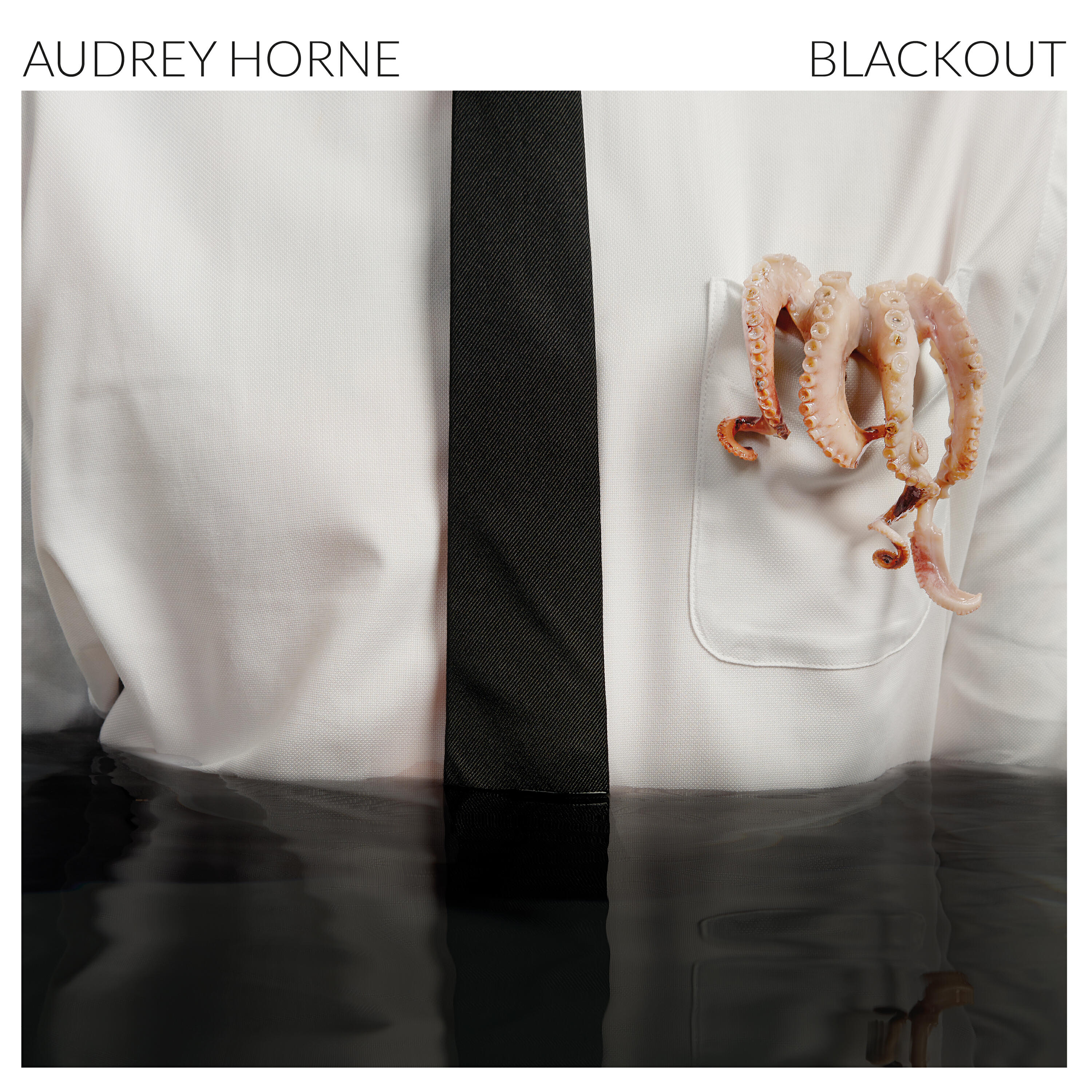 Альбом Blackout исполнителя Audrey Horne