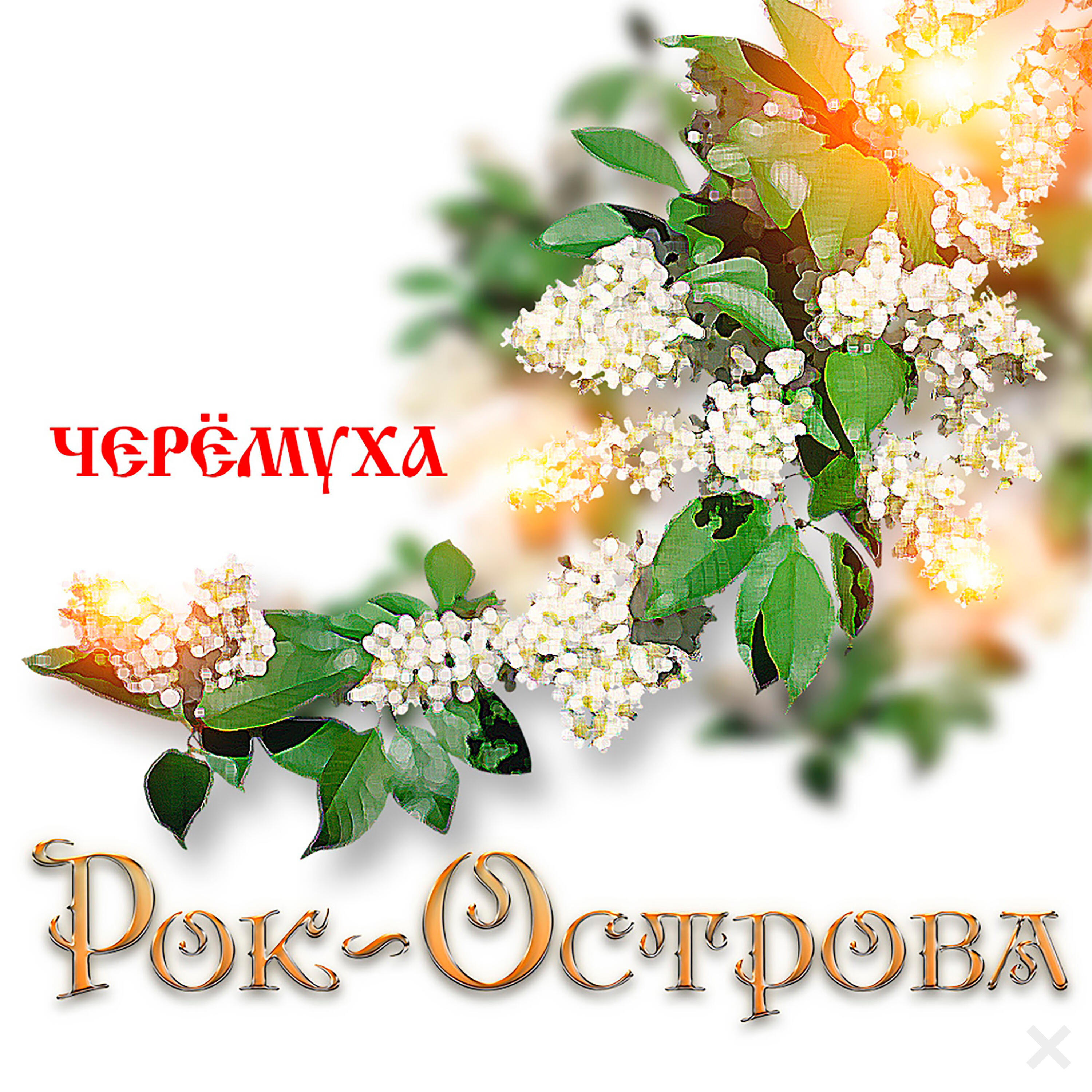 Черемуха