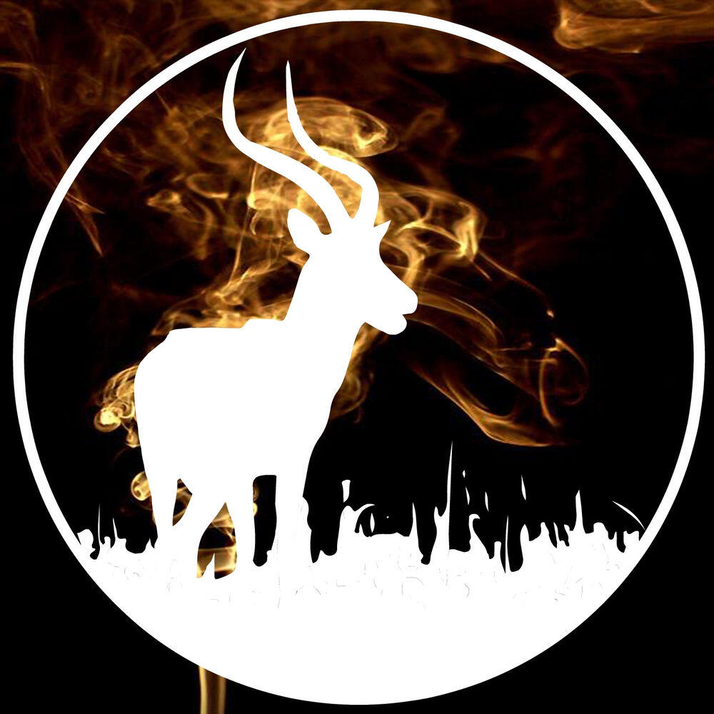 Franz Johann, Leo Baroso - Smoke - Franz Johann Remix