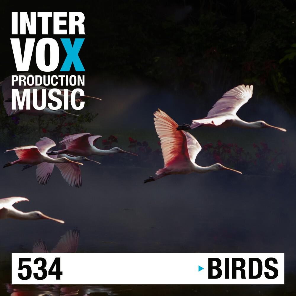 Intervox Music