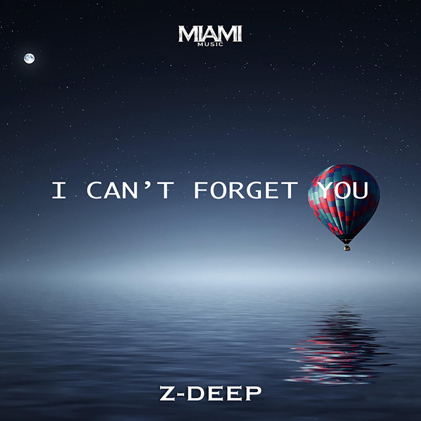 I Can't Forget You