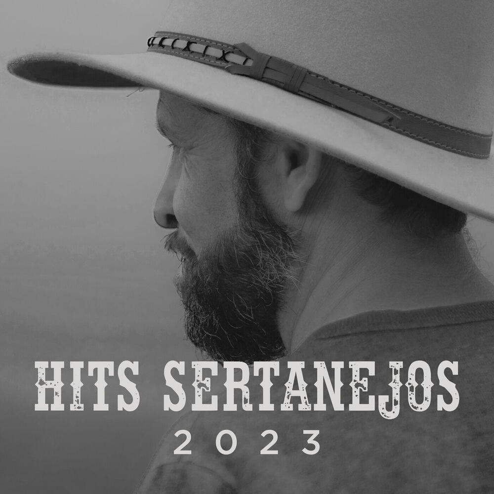 Hits Sertanejos 2023