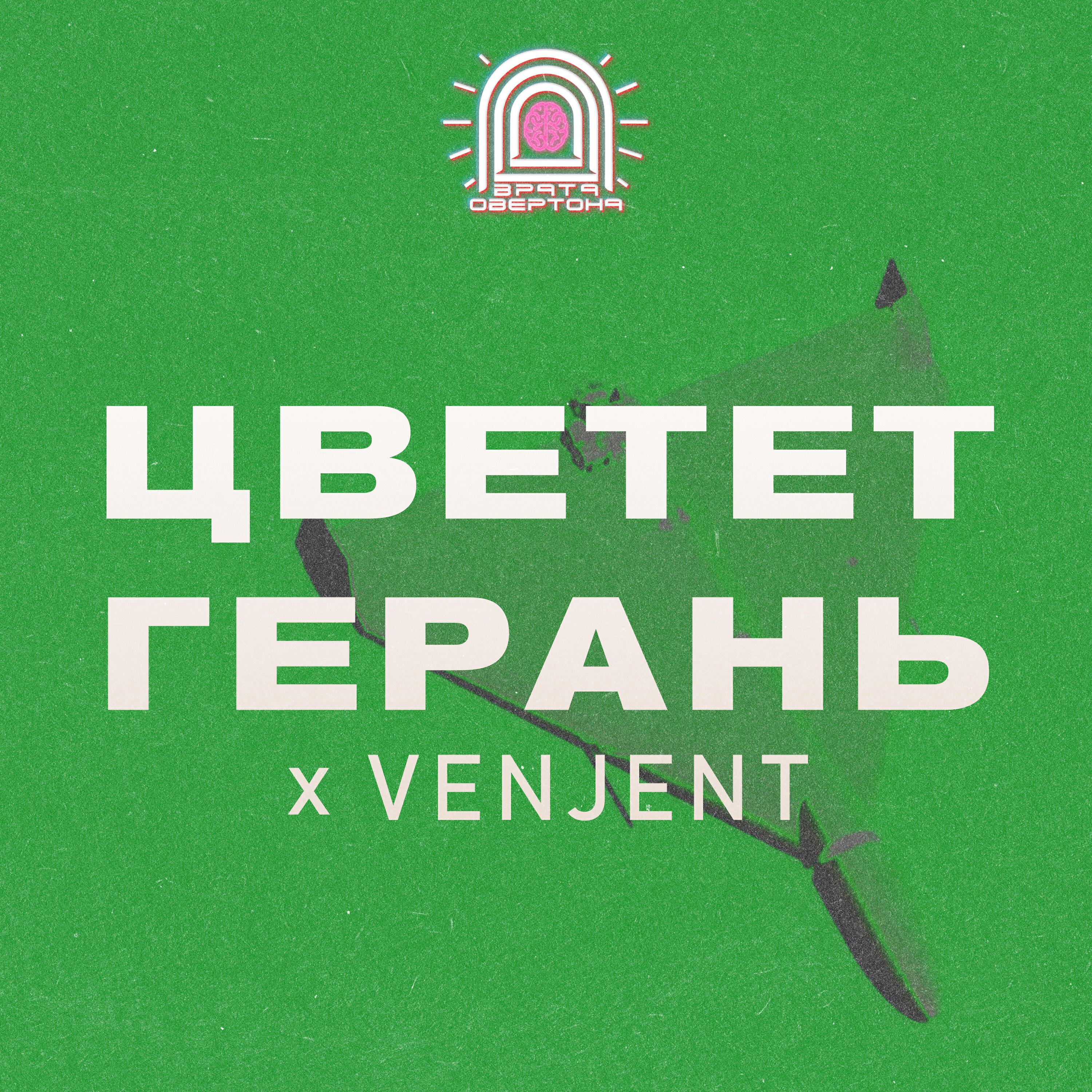 Альбом Цветет Герань and Venjent исполнителя Врата Овертона