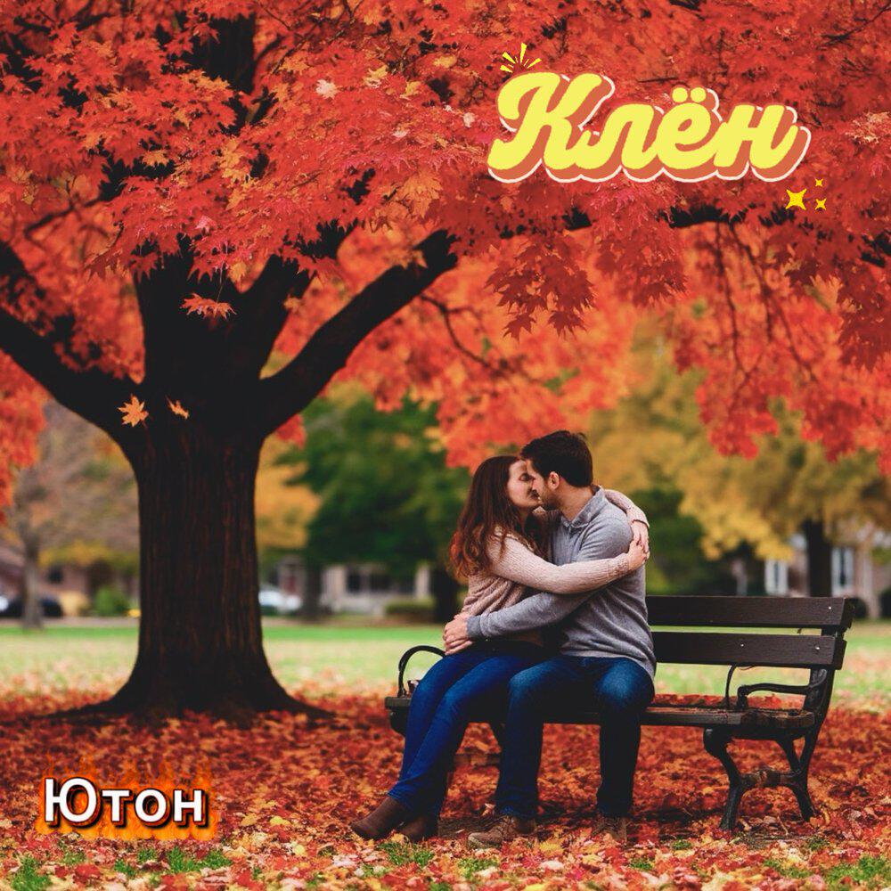 Клён