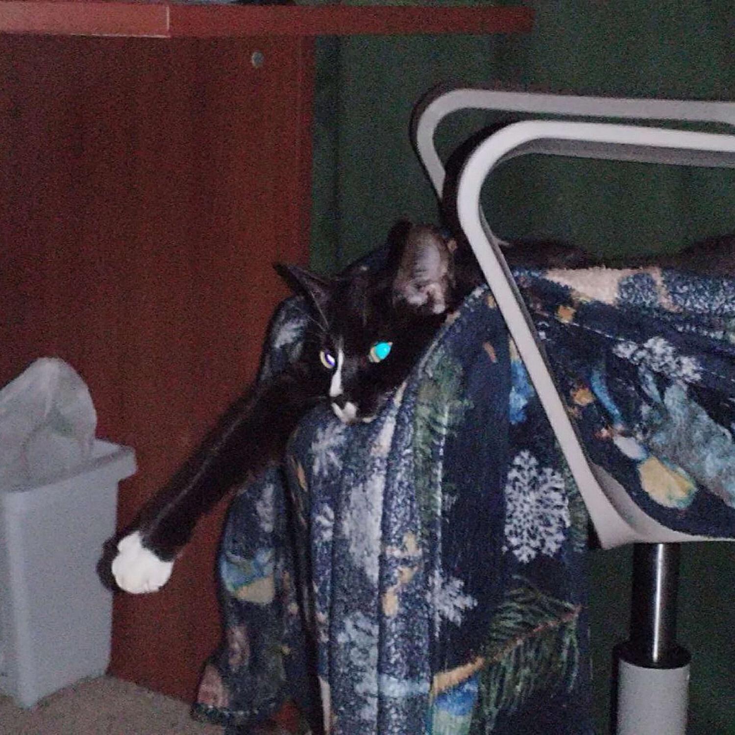ПОТОМКИ