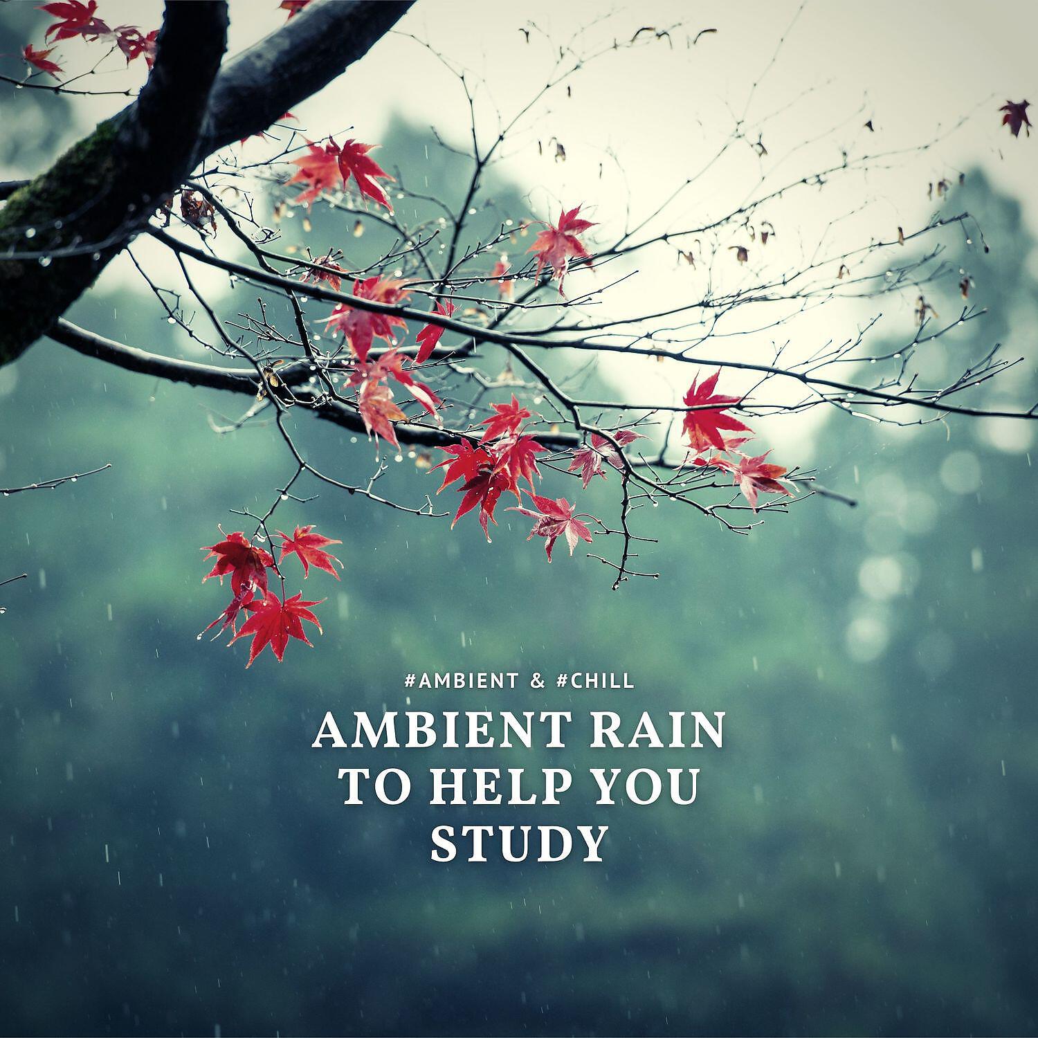 Ambient Rain Sounds to Help You Study