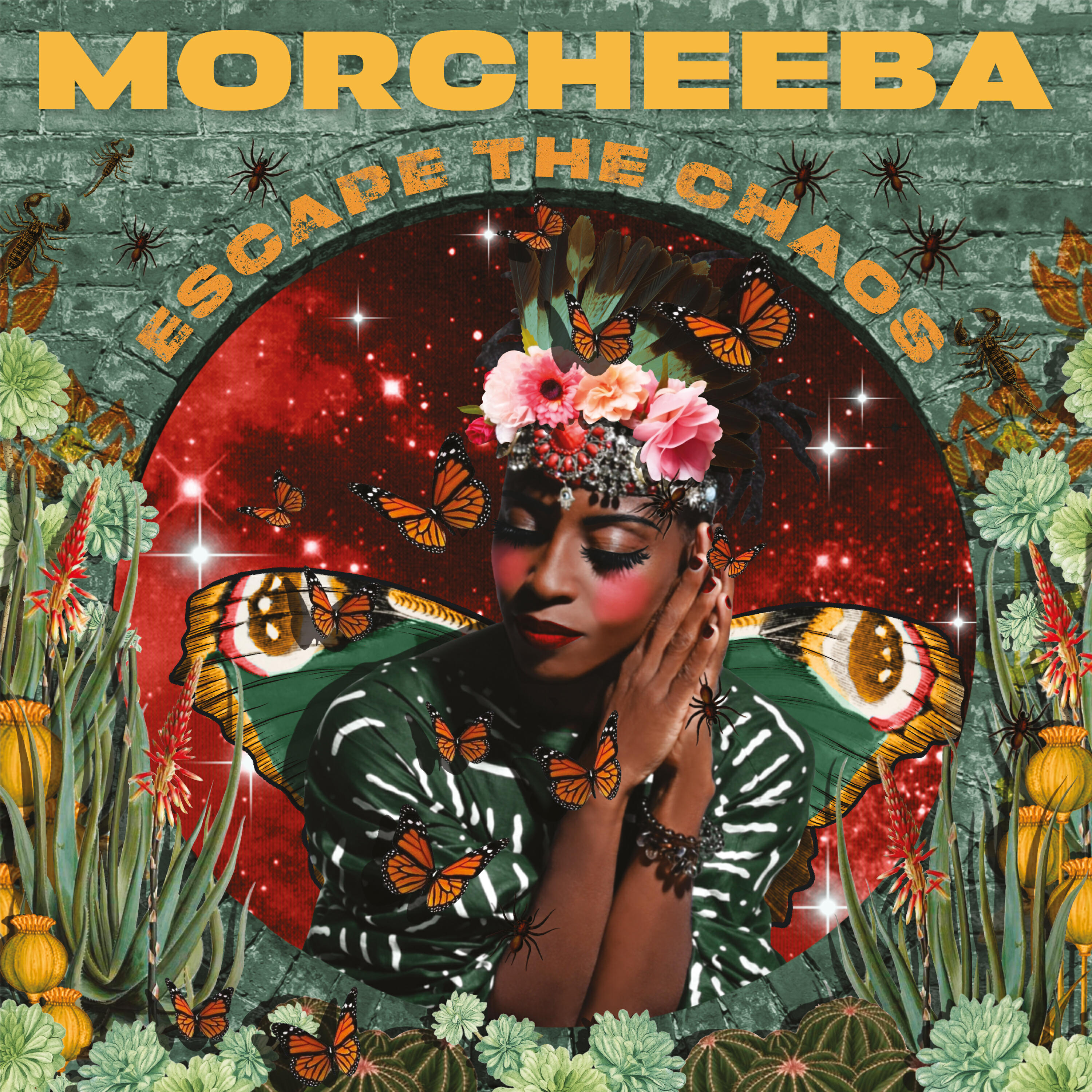 Morcheeba, Amanda Zamolo - Pareidolia