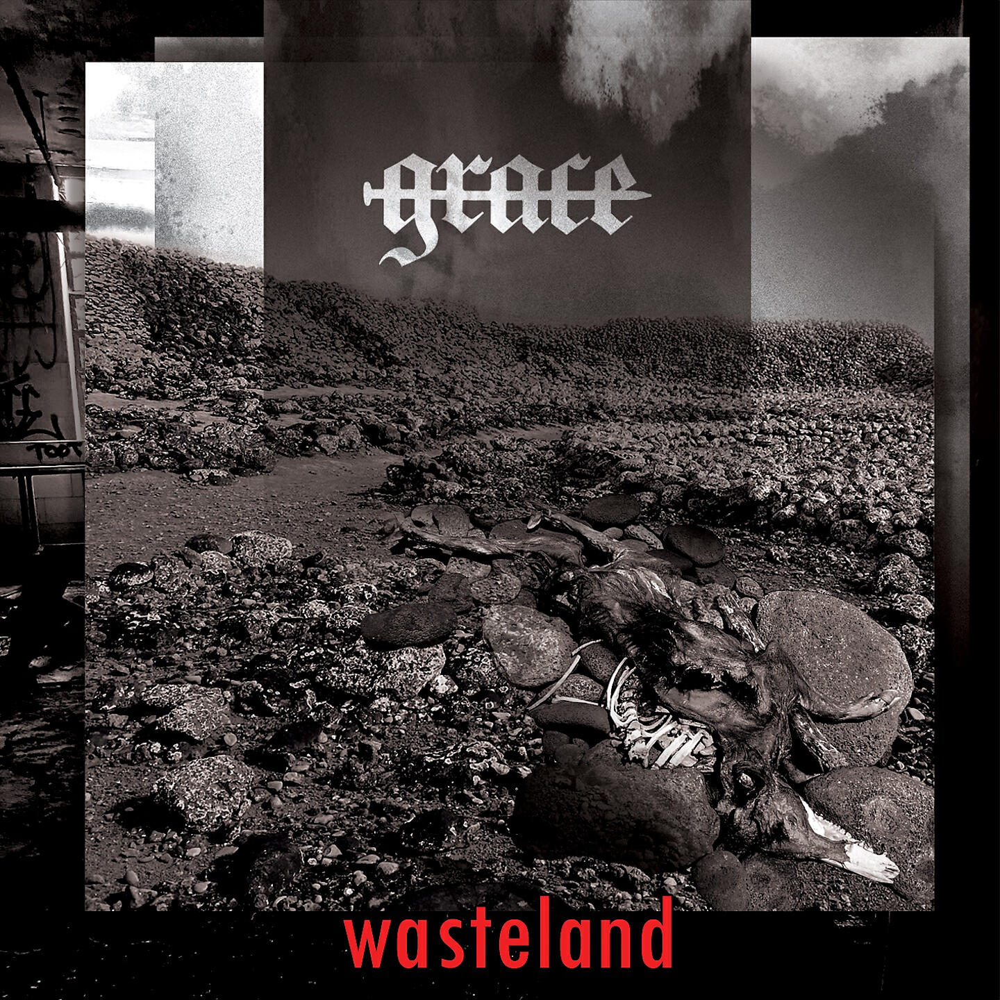 Wasteland