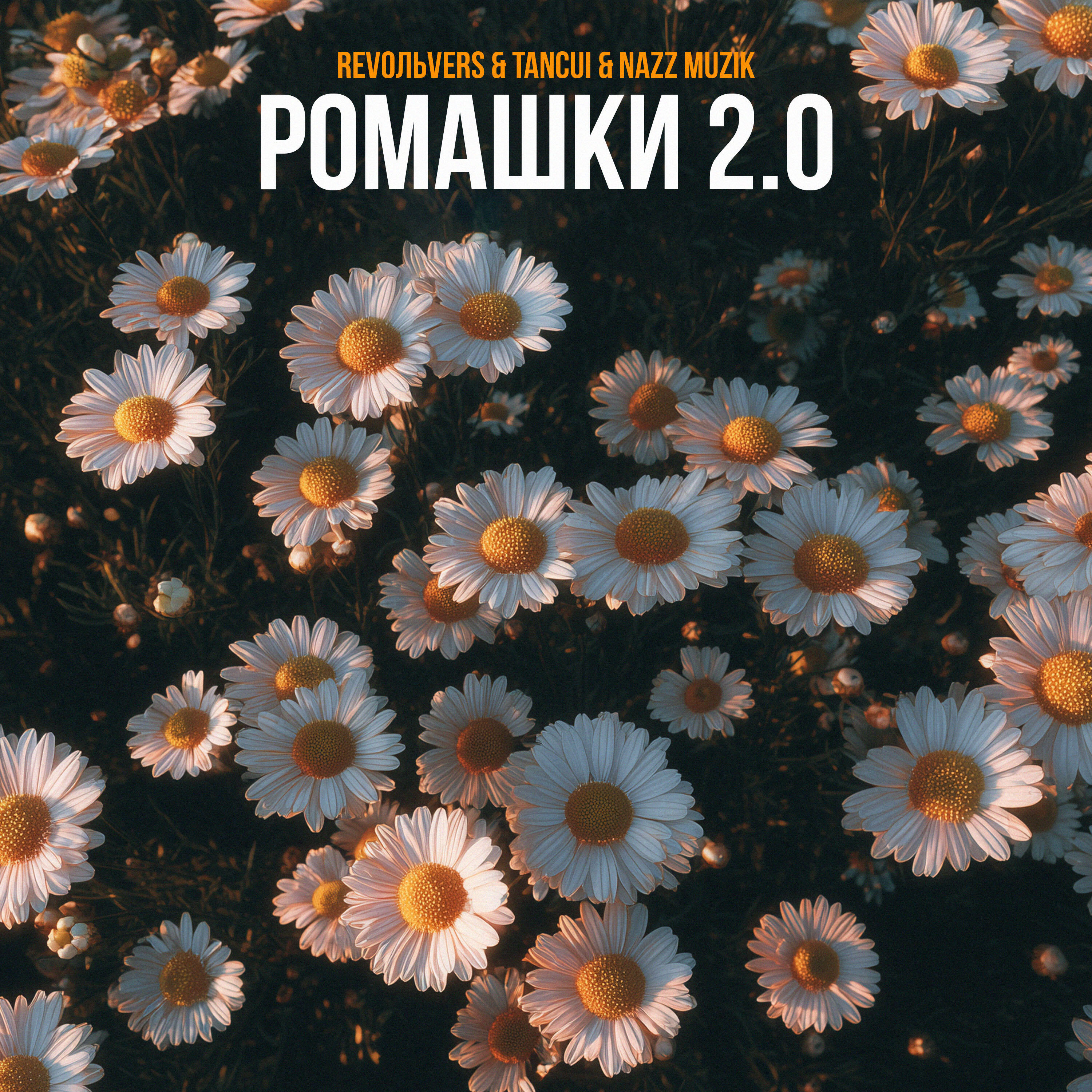 Ромашки 2.0
