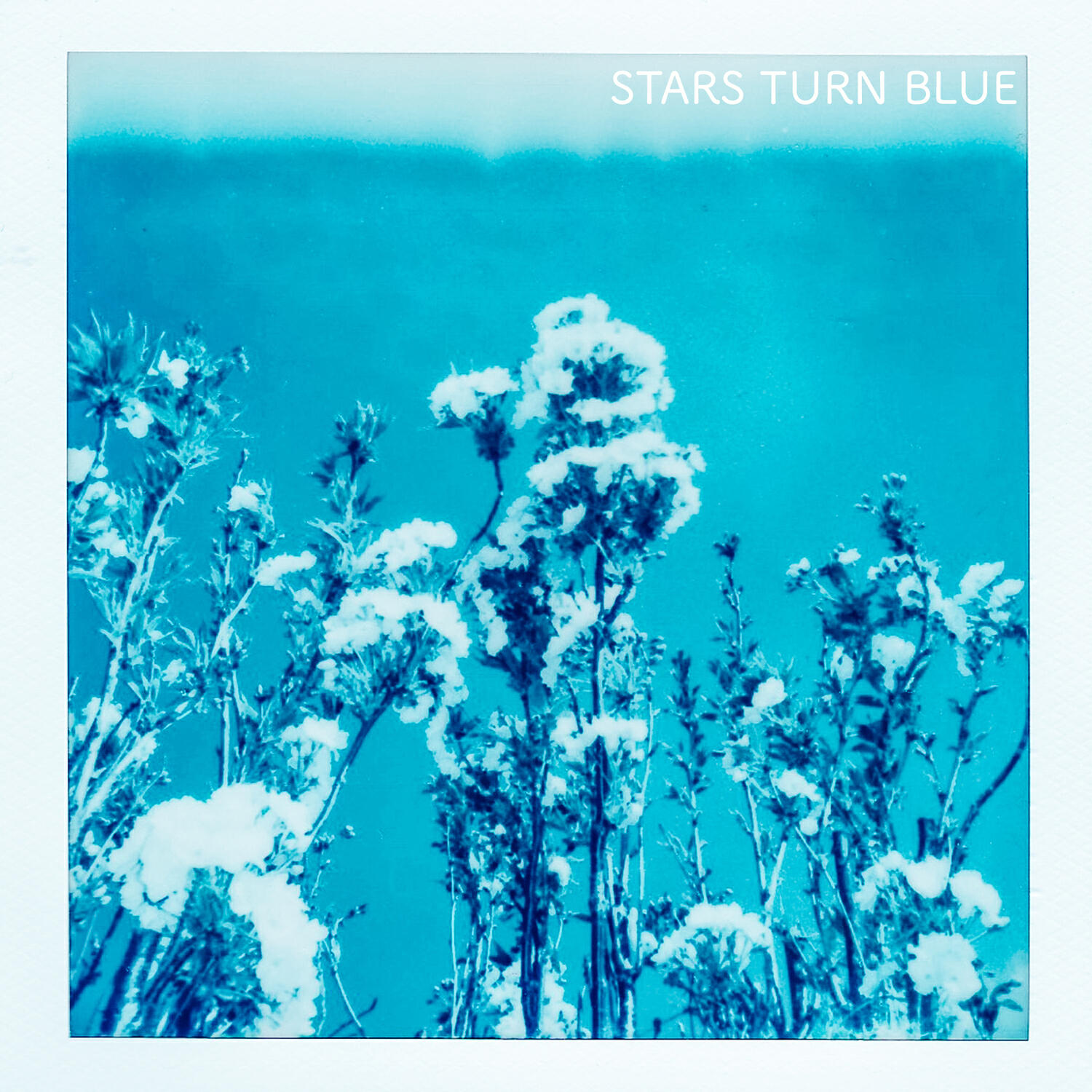 Альбом Stars Turn Blue исполнителя Laura Brehm, Nikonn