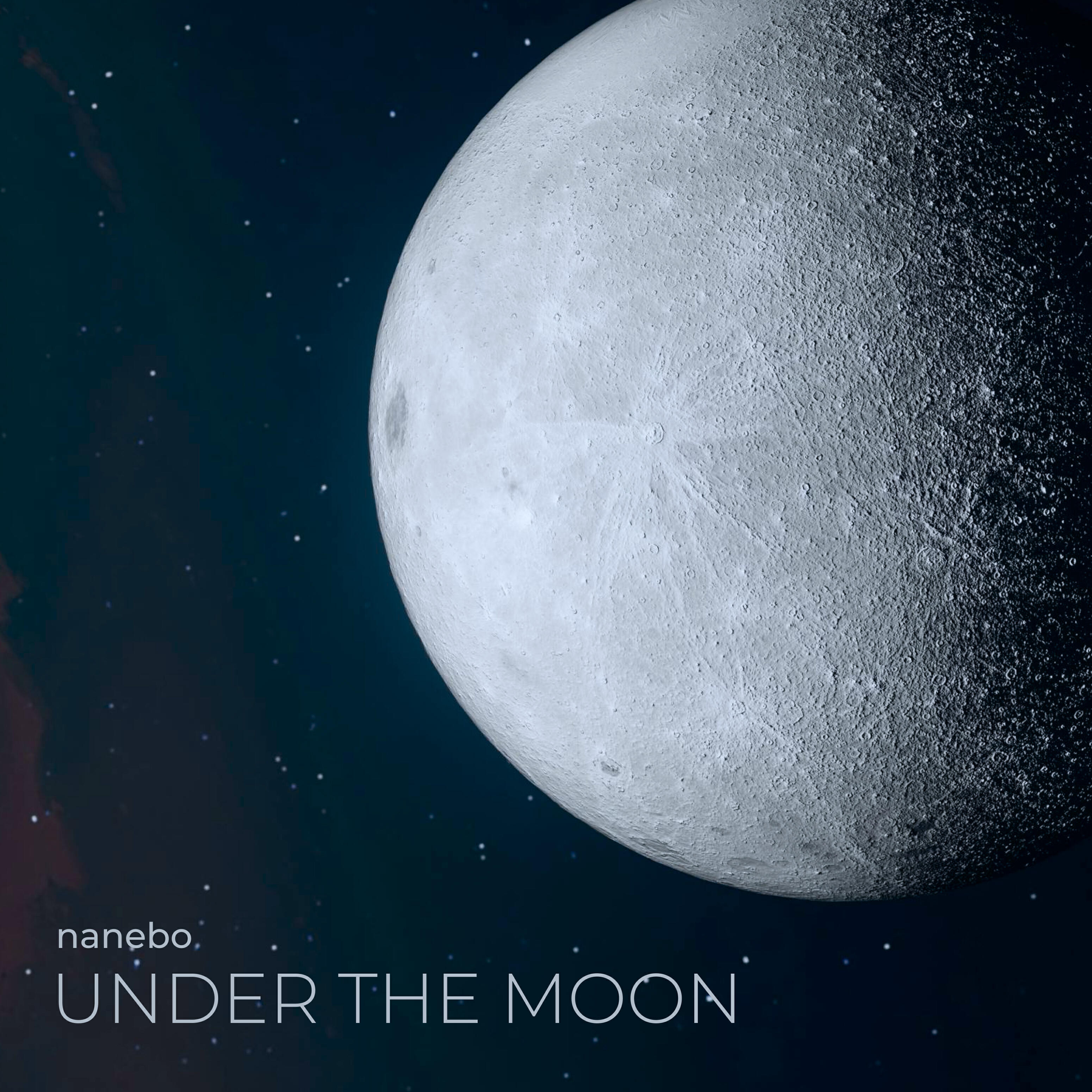 Альбом Under the Moon исполнителя nanebo