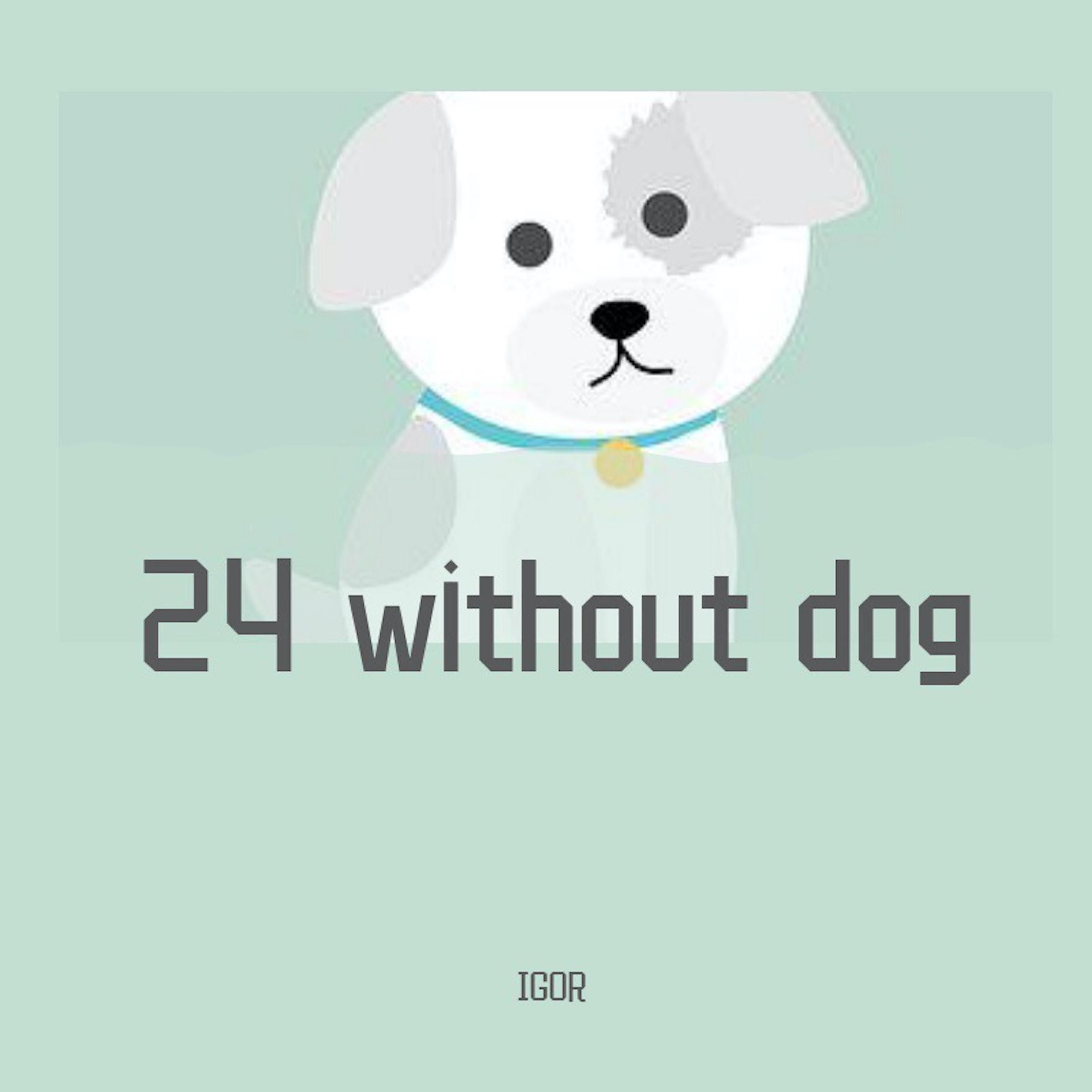 Альбом 24 Without a Dog исполнителя Igor