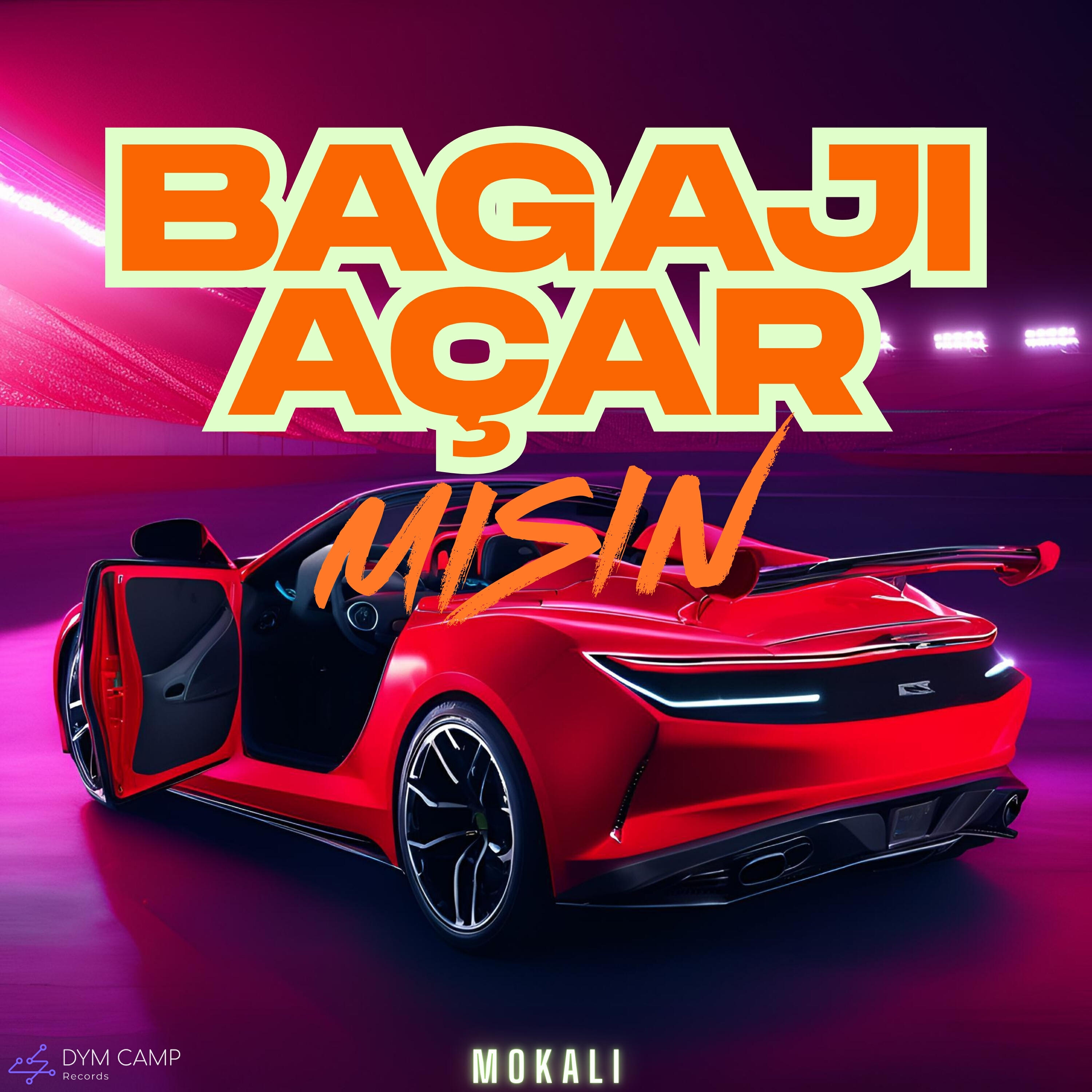 Bagajı Açar Mısın