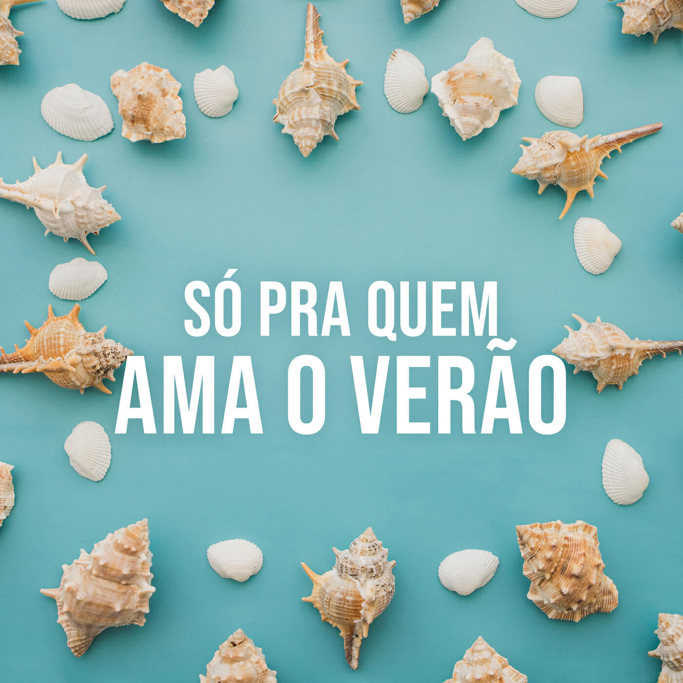 Альбом Só pra quem ama o verão исполнителя DJ LUAN GOMES, Juliano, Kauan, Lou Garcia, Anitta, Luísa Sonza, Matheus, Lauana Prado, Various Artists, Leo Santana, Mulú, Henrique, Mumuzinho, OutroEu, Anavitória, Maneva, Felipe Araújo, Guga Nandes, Carol Biazin, DUDA BEAT