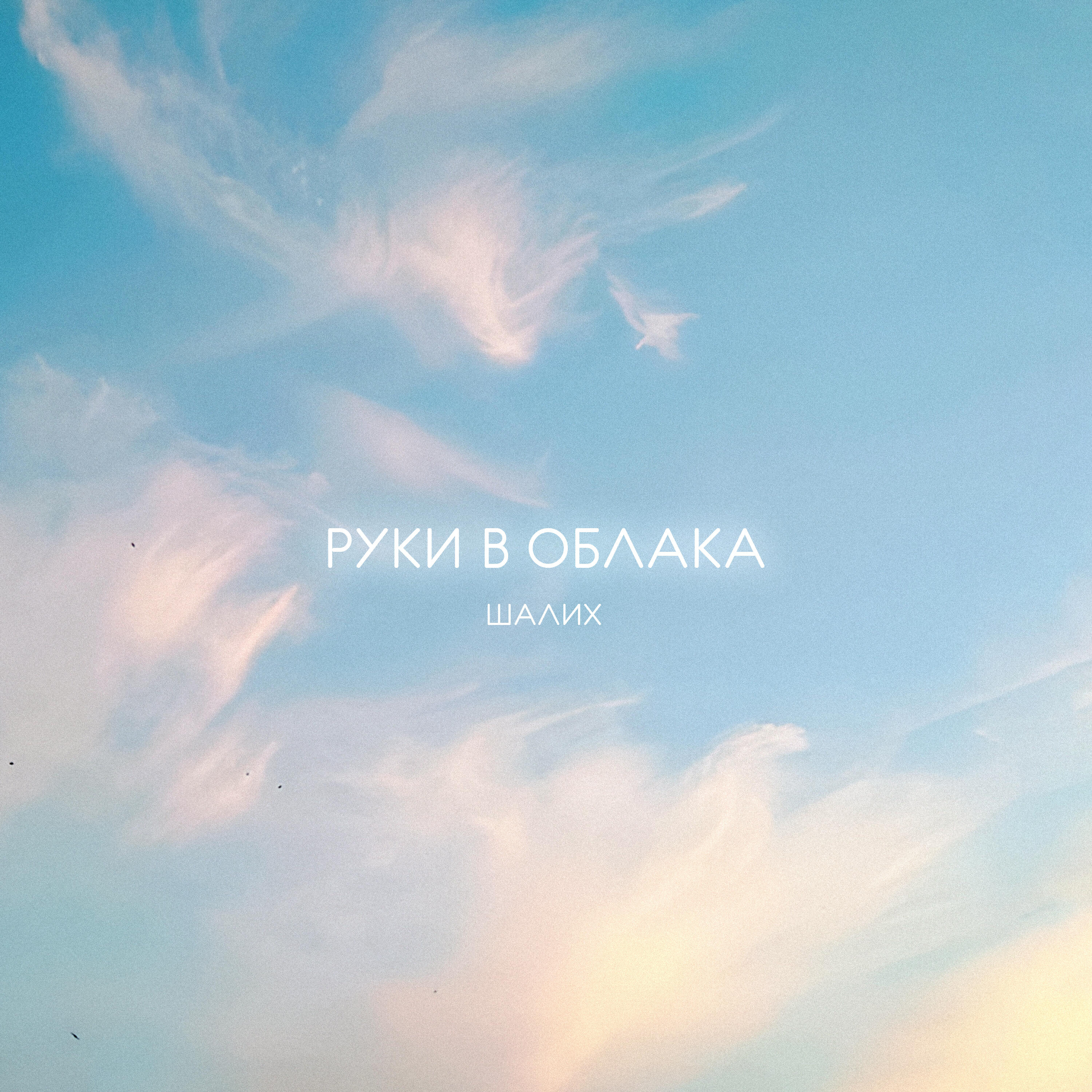 Альбом Руки в облака исполнителя Шалих