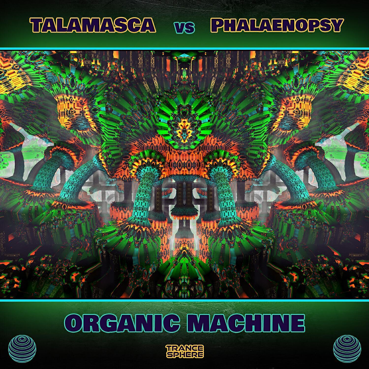 Phalaenopsy