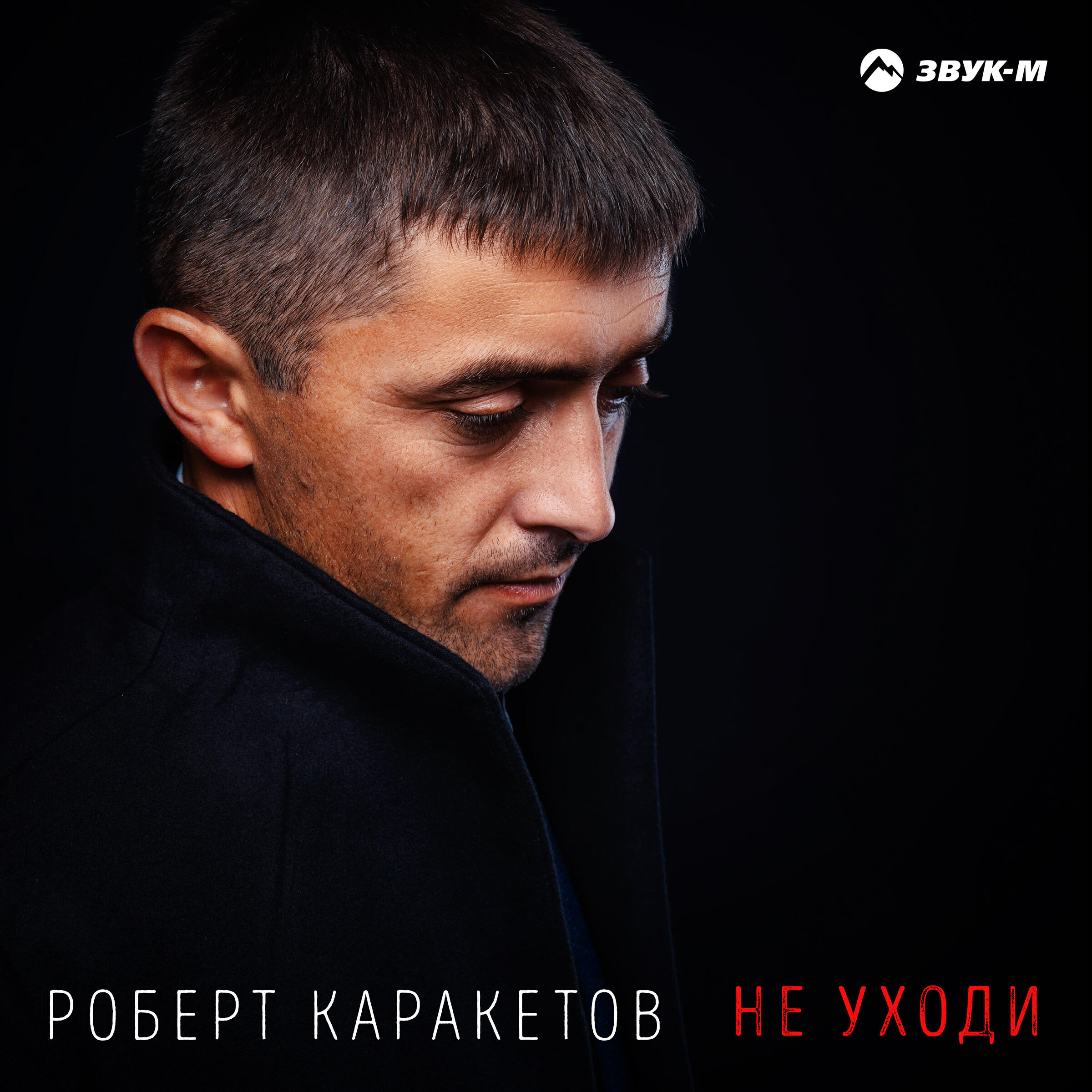 Альбом Не уходи исполнителя Роберт Каракетов