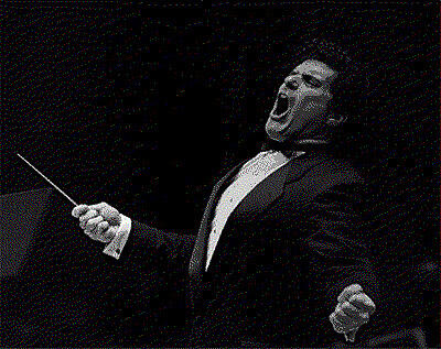 Stephen Melillo
