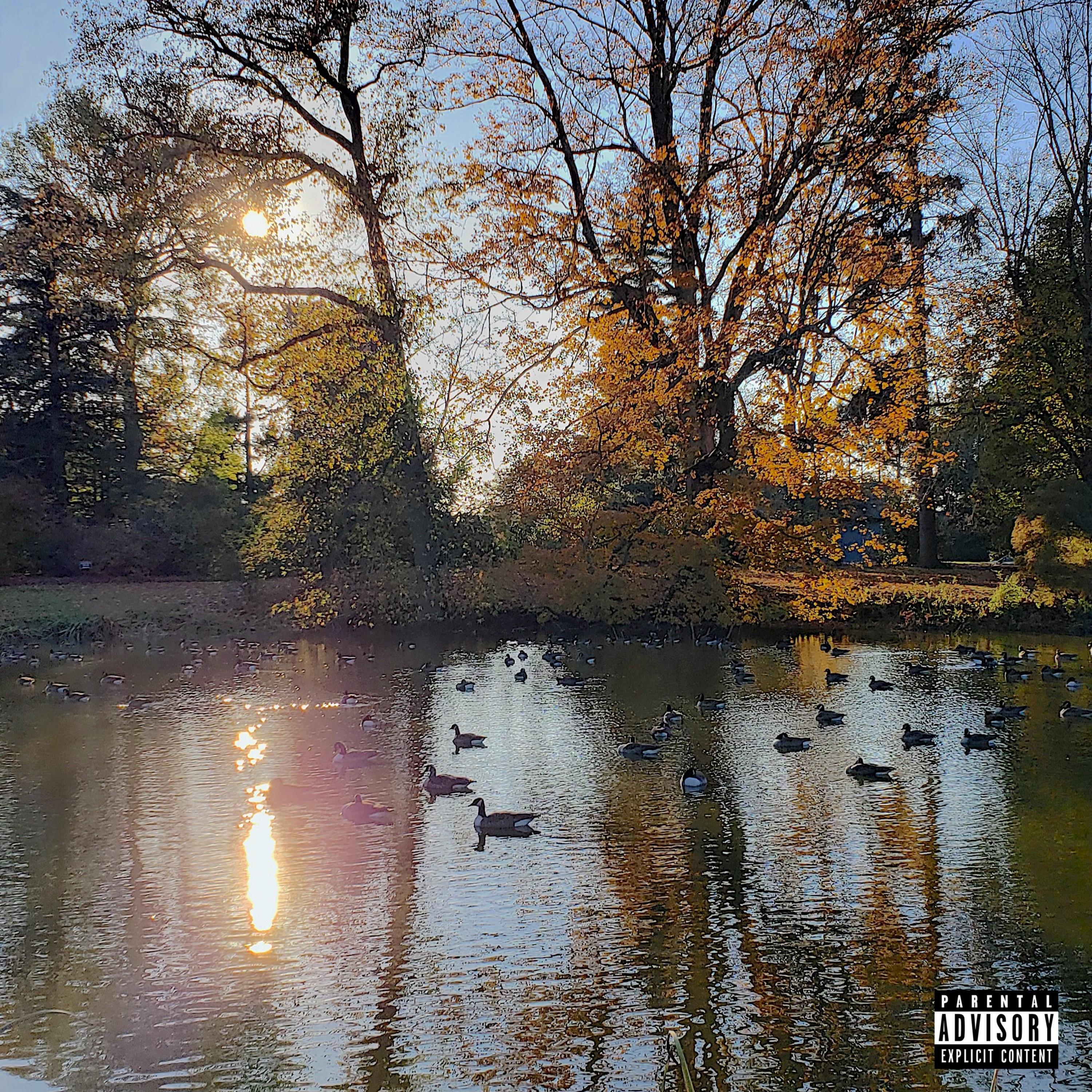SITTING DUCKS
