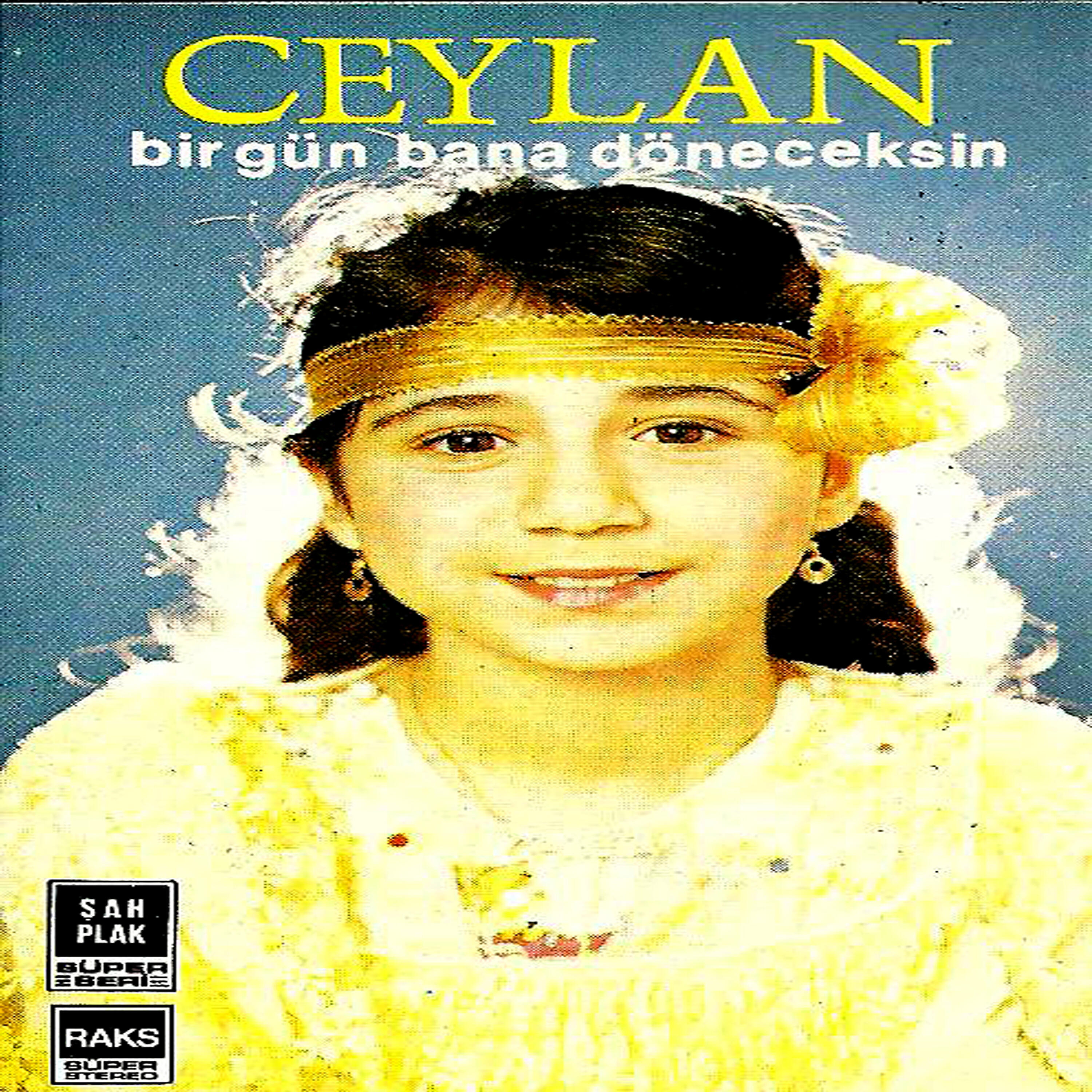 Bir Gün Bana Döneceksin