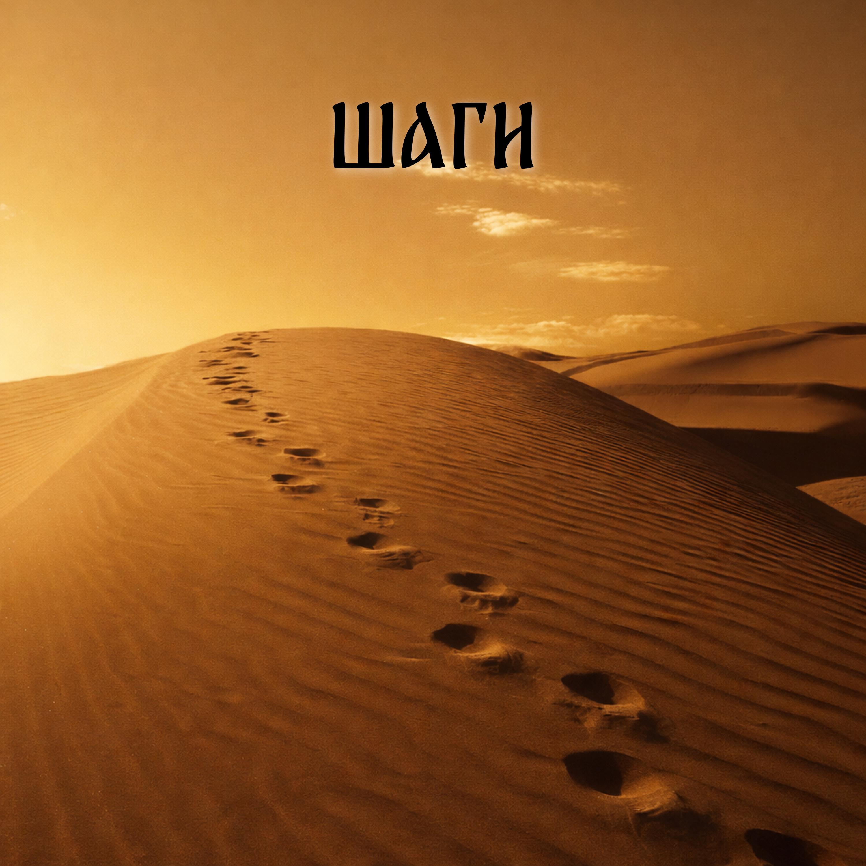 ШАГИ