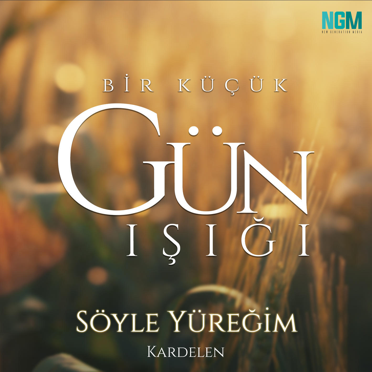 Альбом Söyle Yüreğim исполнителя Kardelen, Alp Yenier