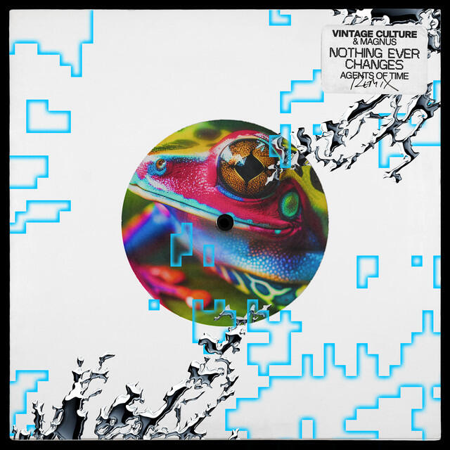 Альбом Nothing Ever Changes - Agents of Time Remix исполнителя Agents Of Time, Vintage Culture, Magnus
