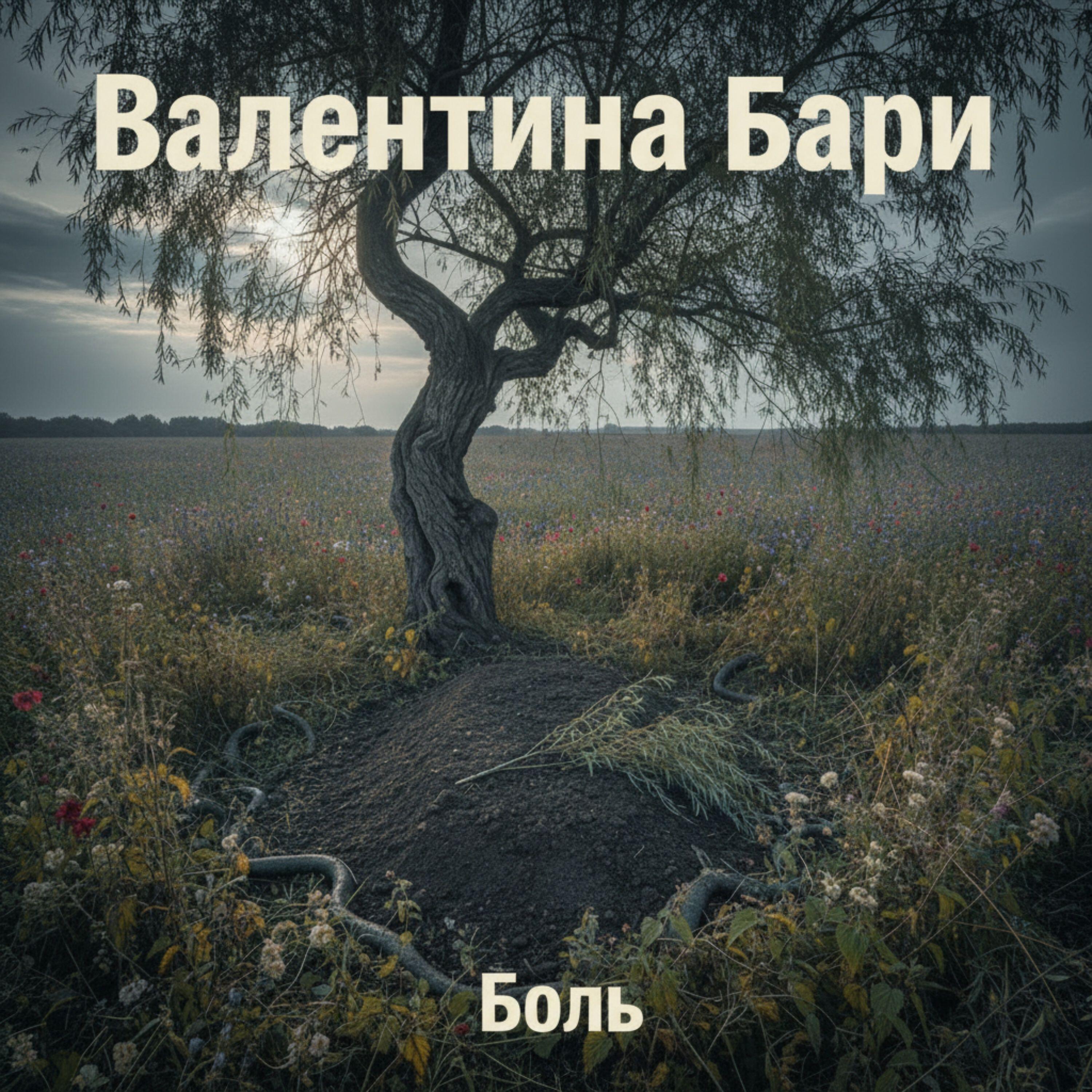 Альбом Боль исполнителя Валентина Бари, Зара