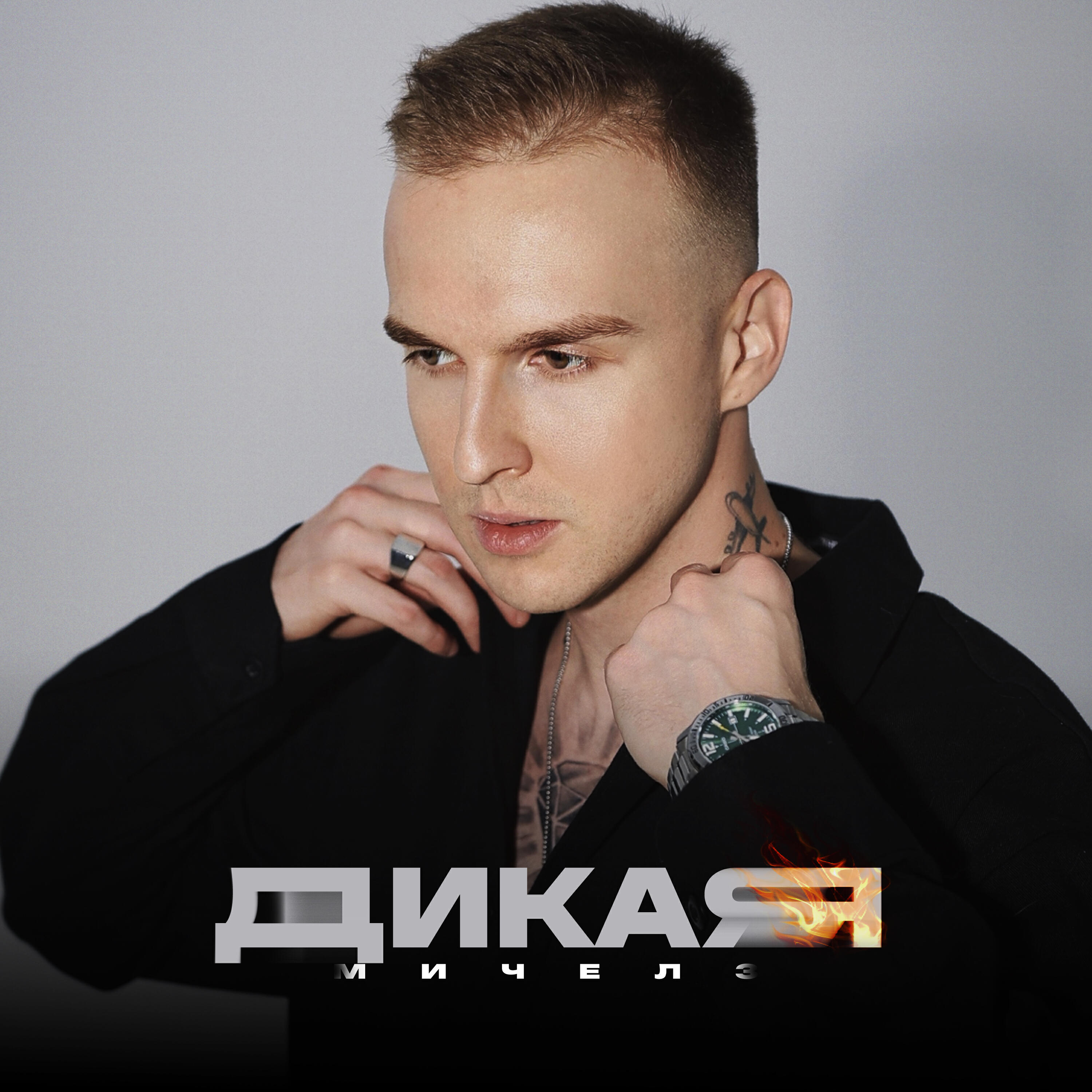 Дикая