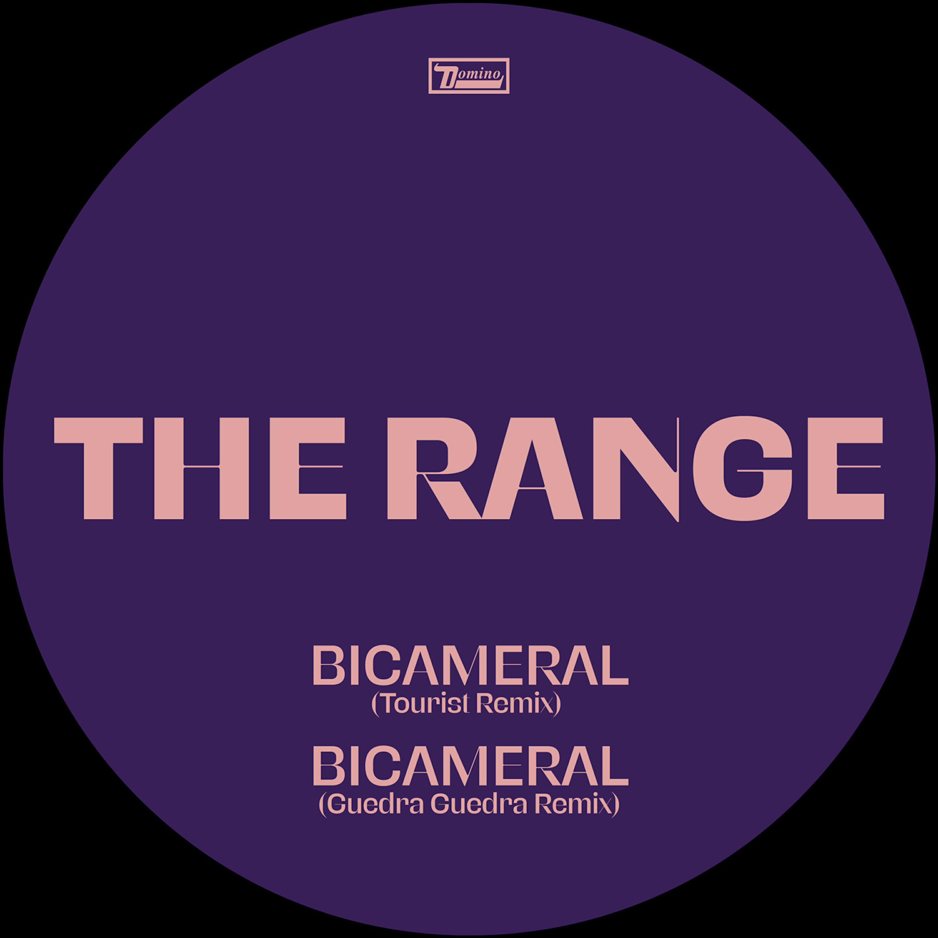 Range, Tourist - Bicameral (Tourist Remix)