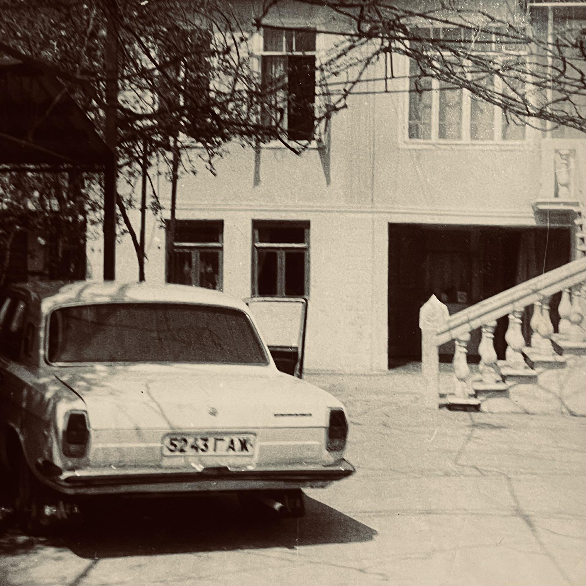 Лавровый лист