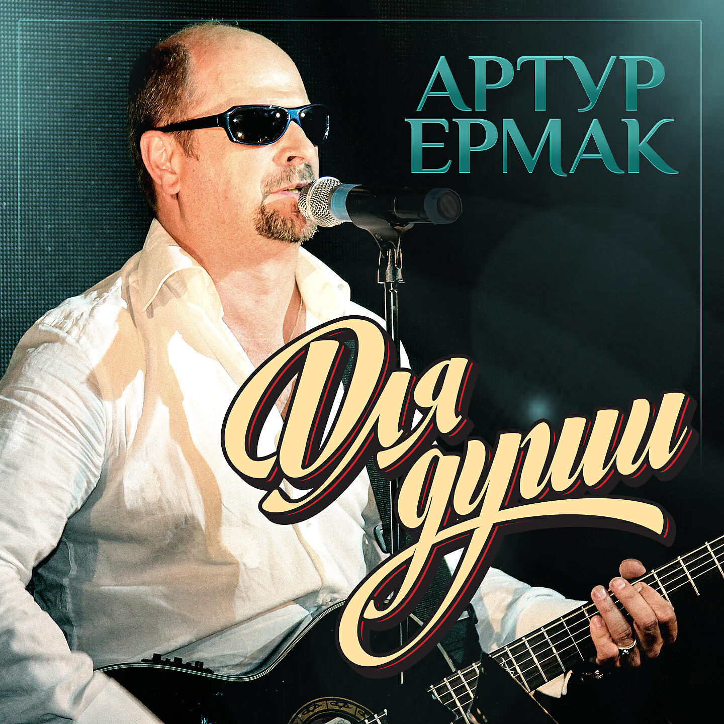 Альбом Для души исполнителя Артур Ермак
