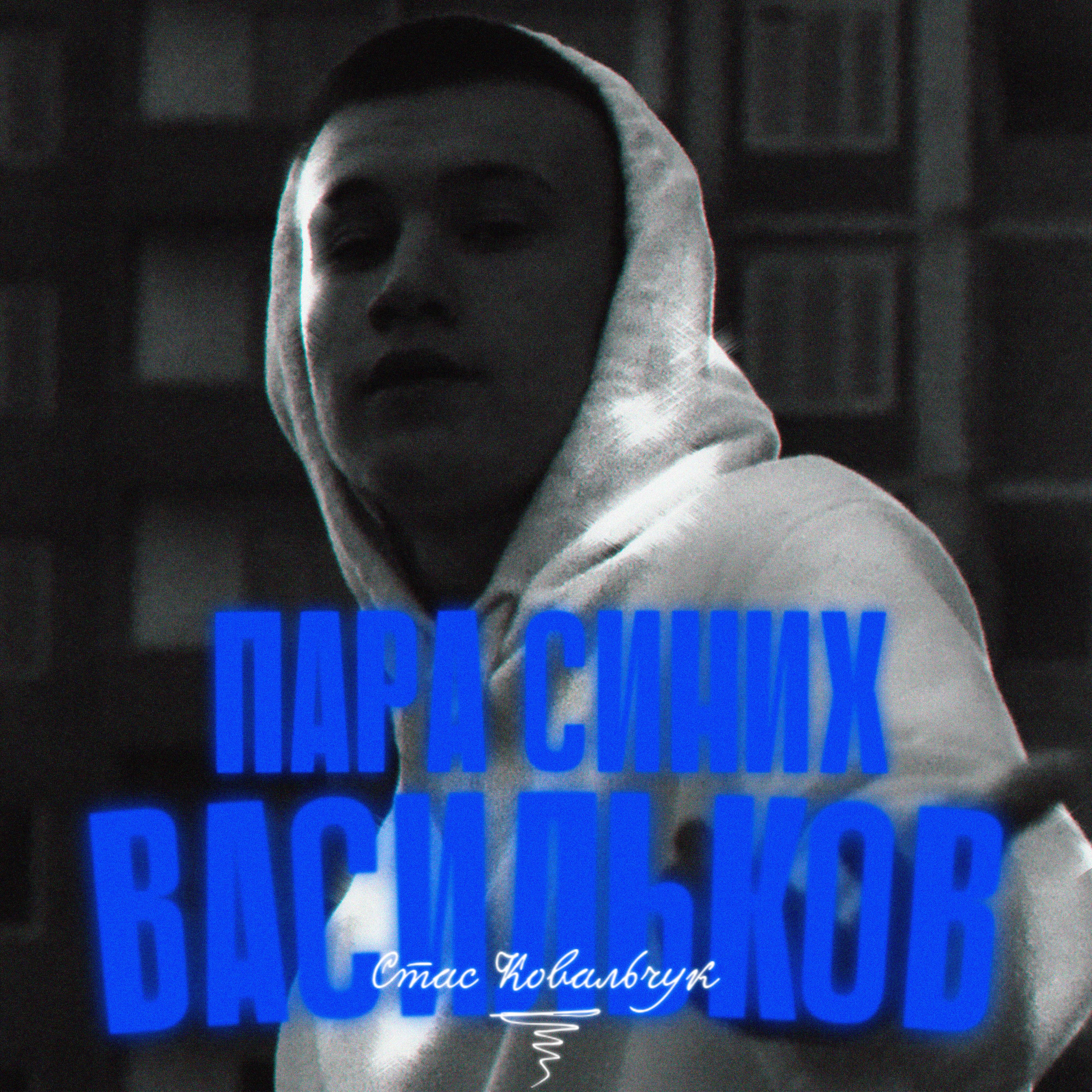 Пара синих васильков