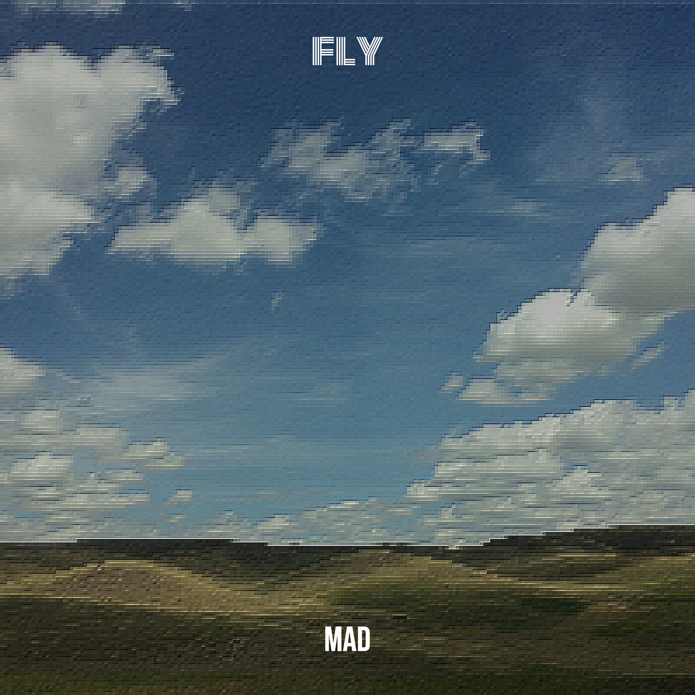 Fly