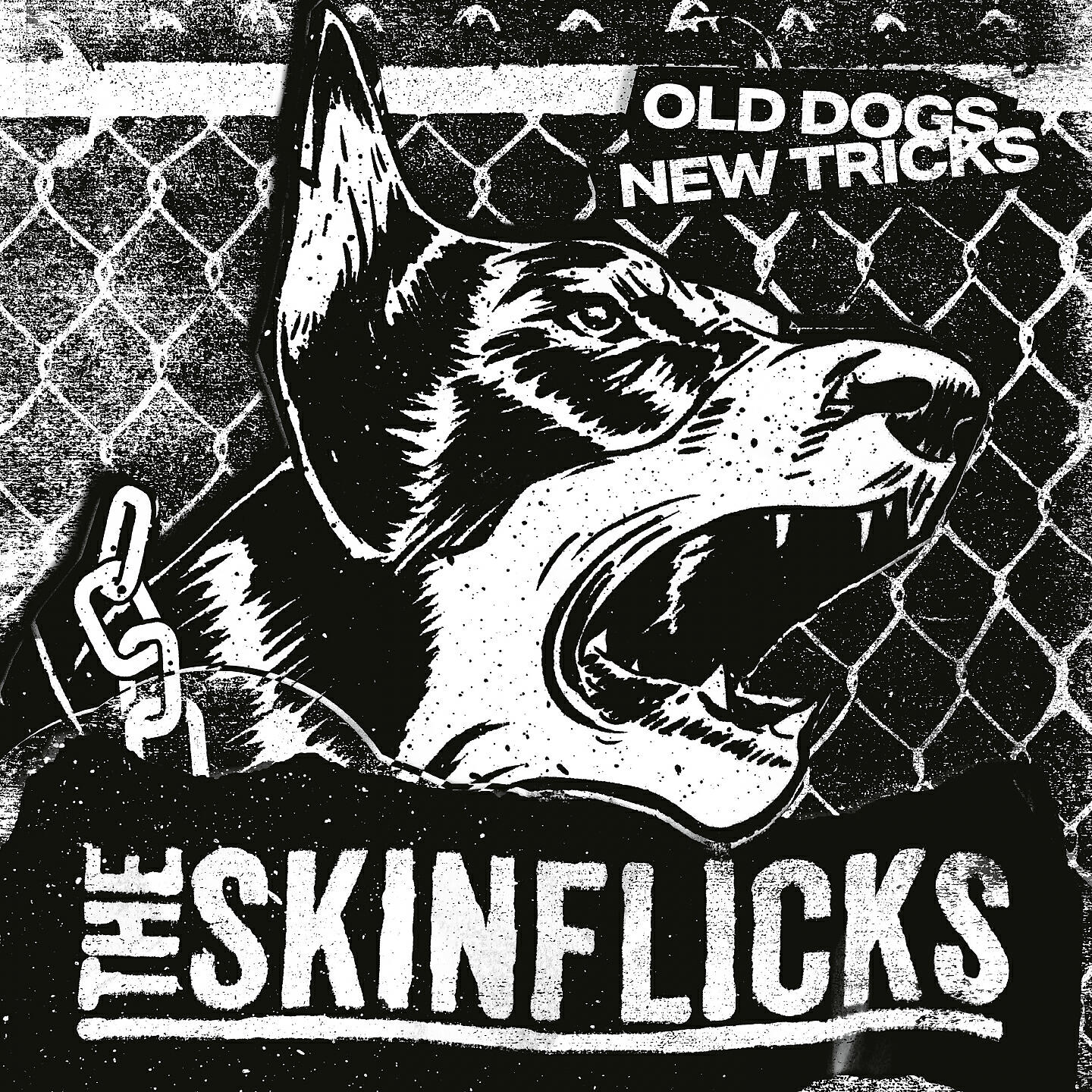 Альбом Old dogs, new tricks исполнителя The Skinflicks