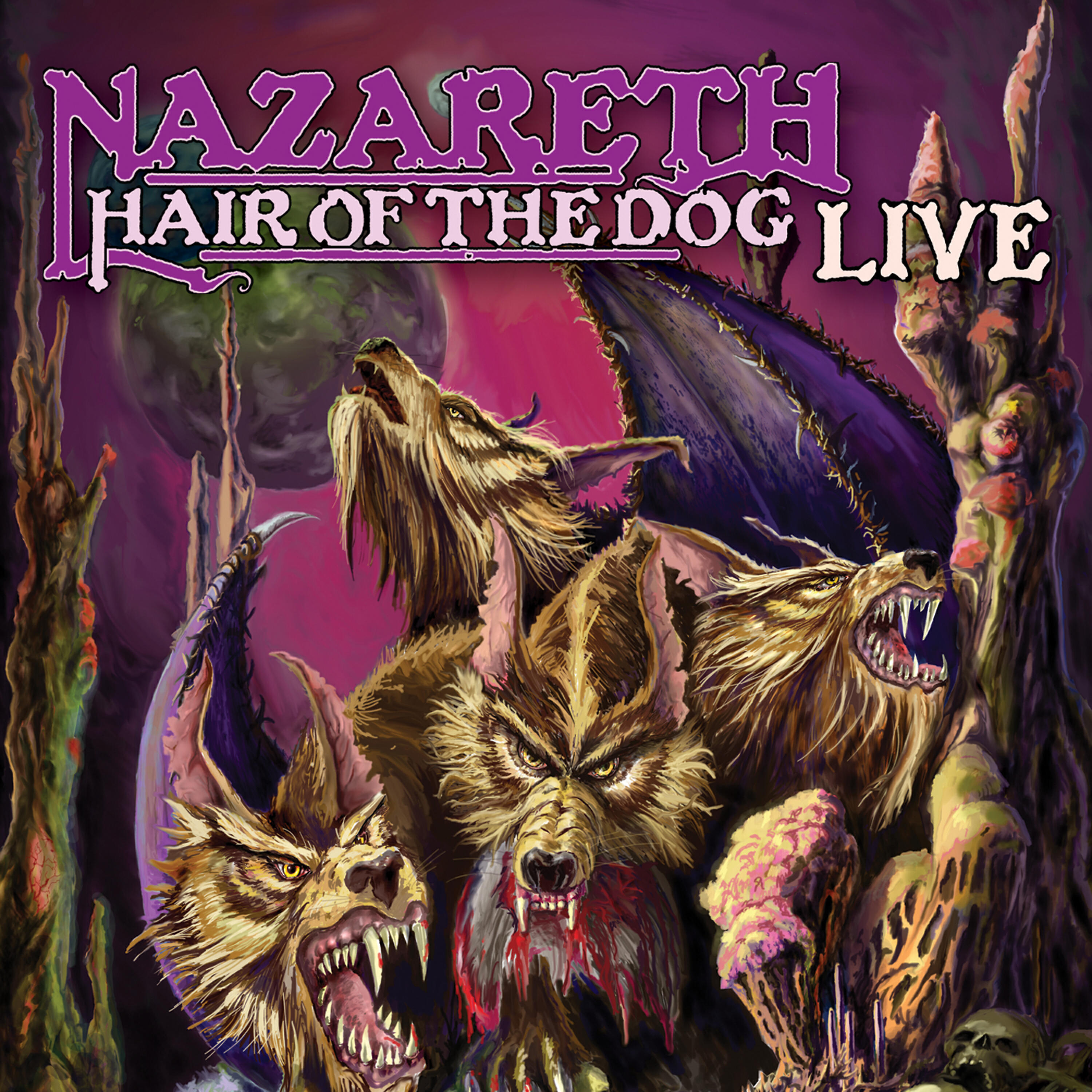 Hair Of The Dog (Live)