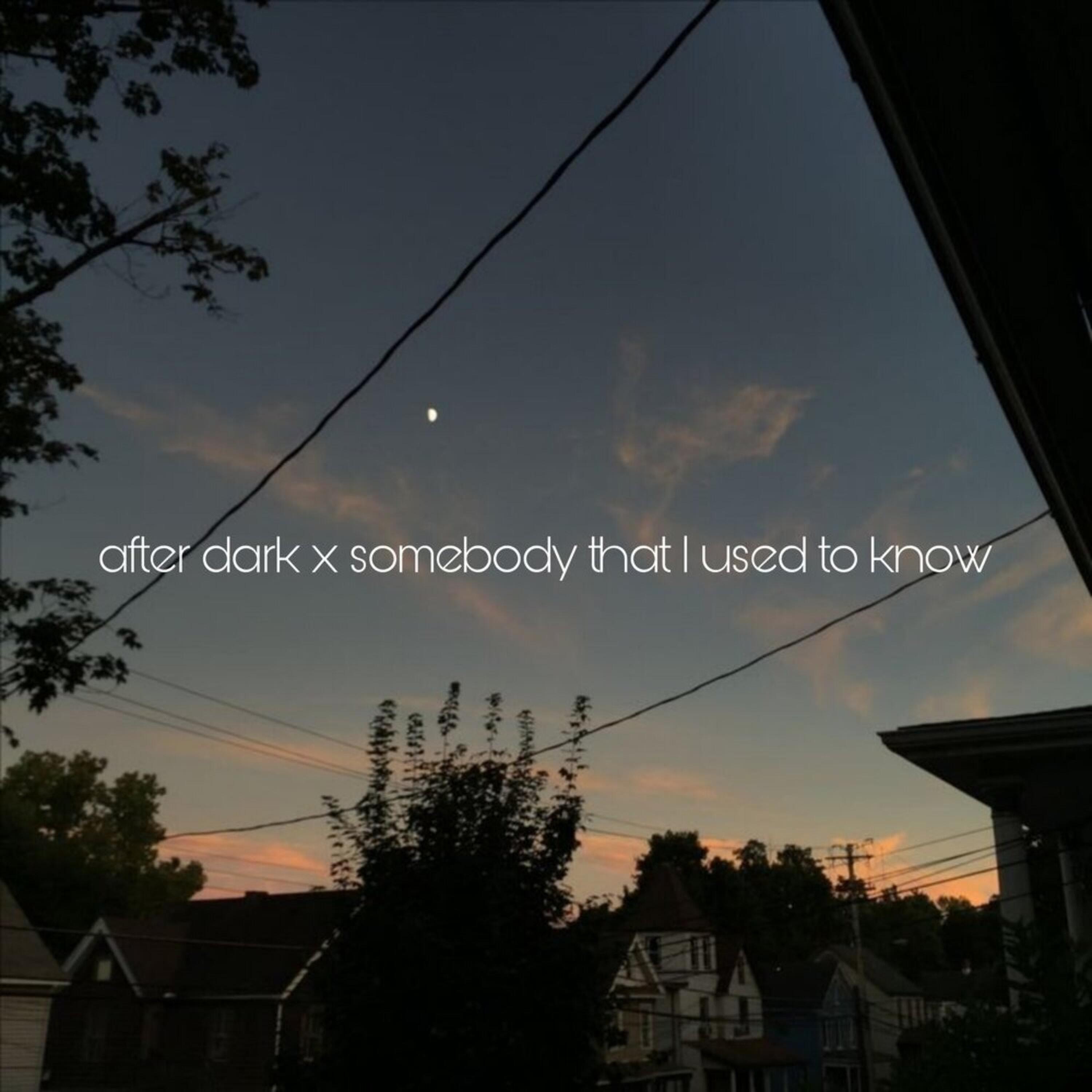 Альбом After Dark x Somebody that I used to know (Lofi) исполнителя wtfsagar, Level up Inc.