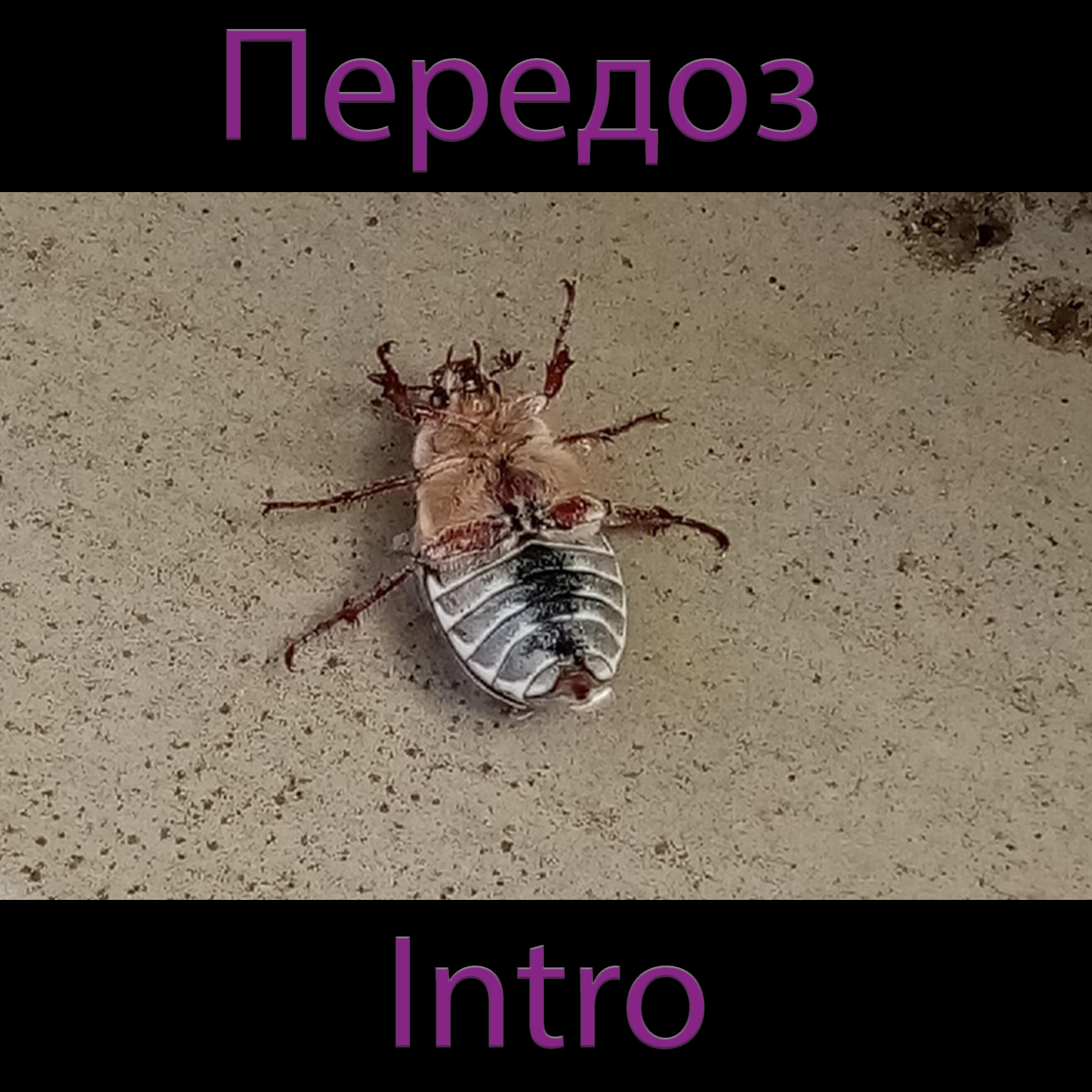 Передоз - Intro