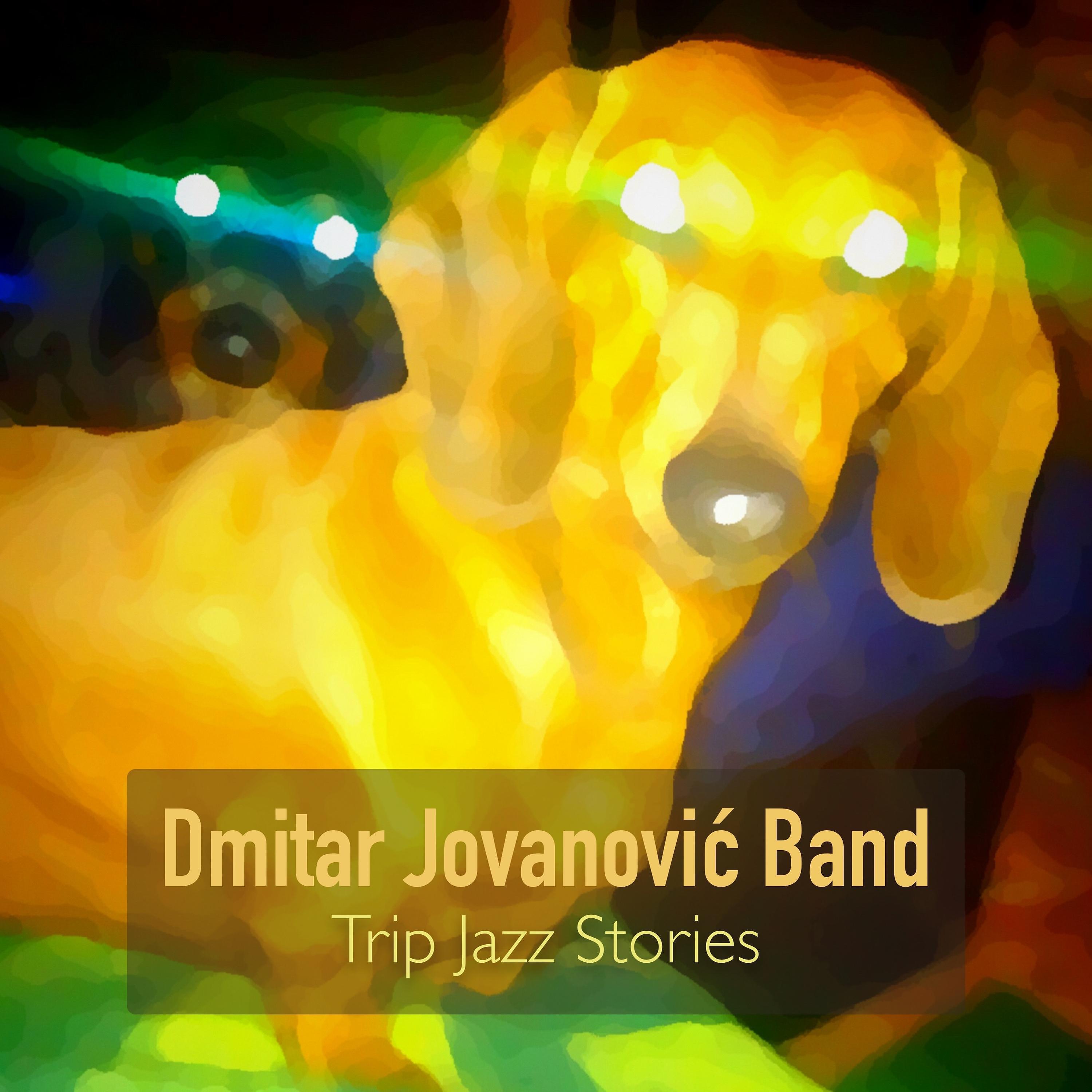 Альбом Trip Jazz Stories исполнителя Dmitar Jovanović Band