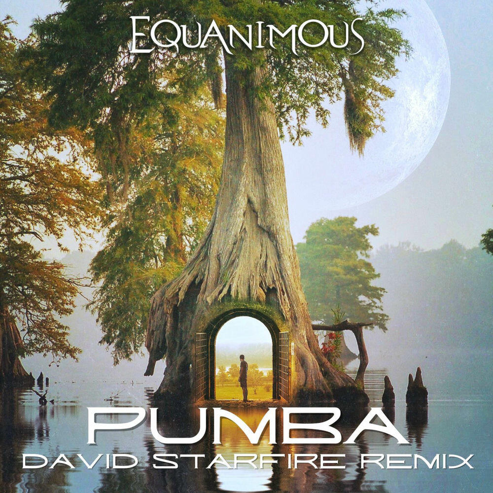 Pumba (David Starfire Remix)