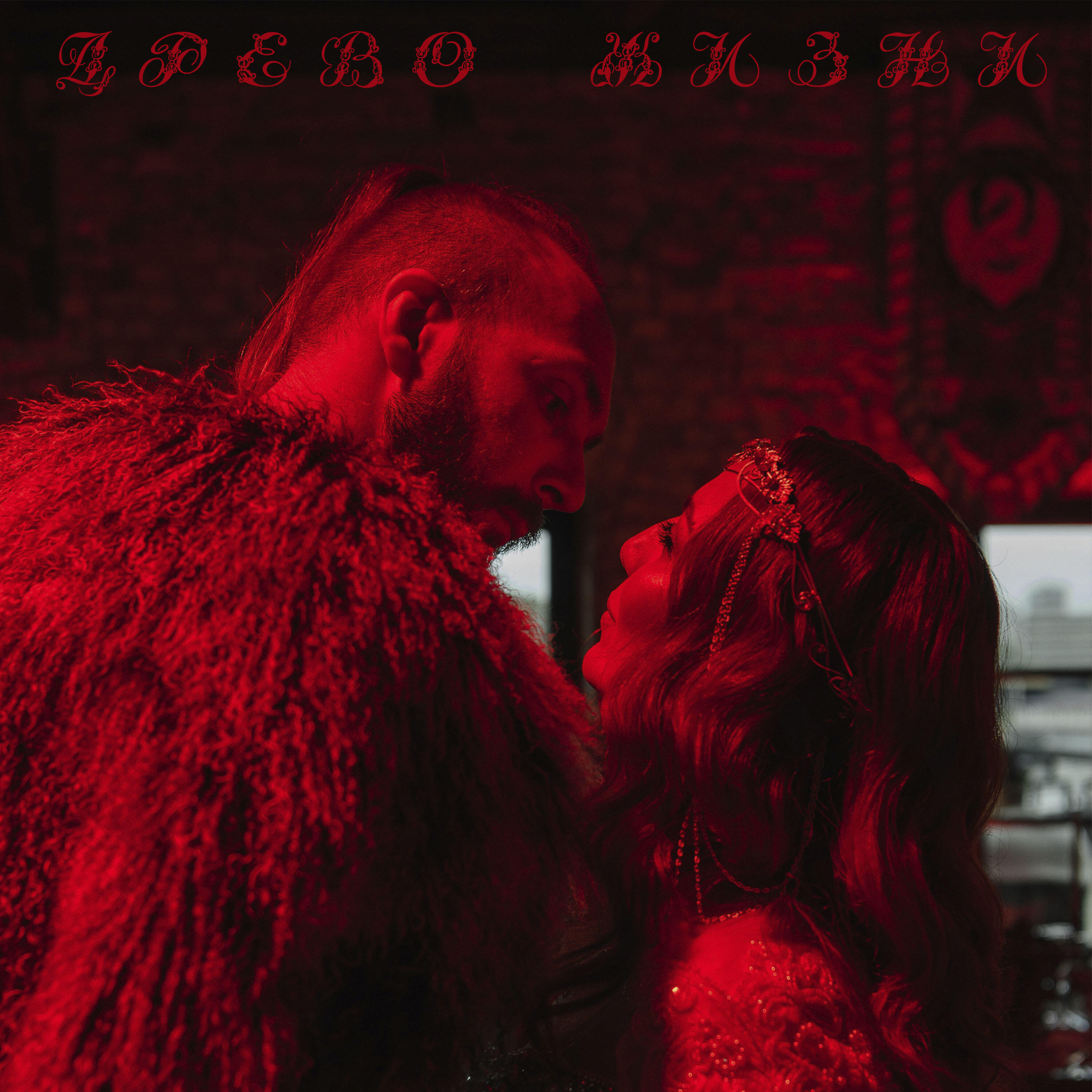 Альбом Древо жизни исполнителя Timestamp, Honoo