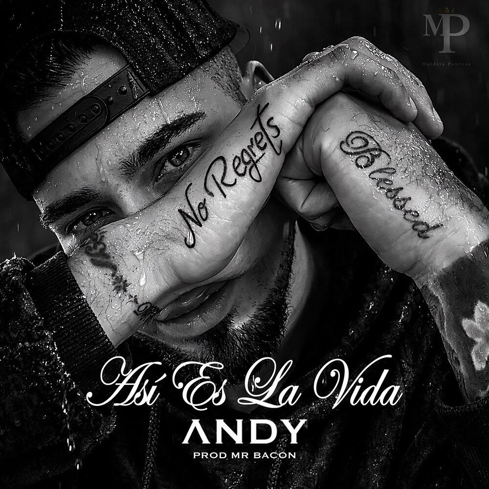 Альбом Así Es La Vida исполнителя Andy