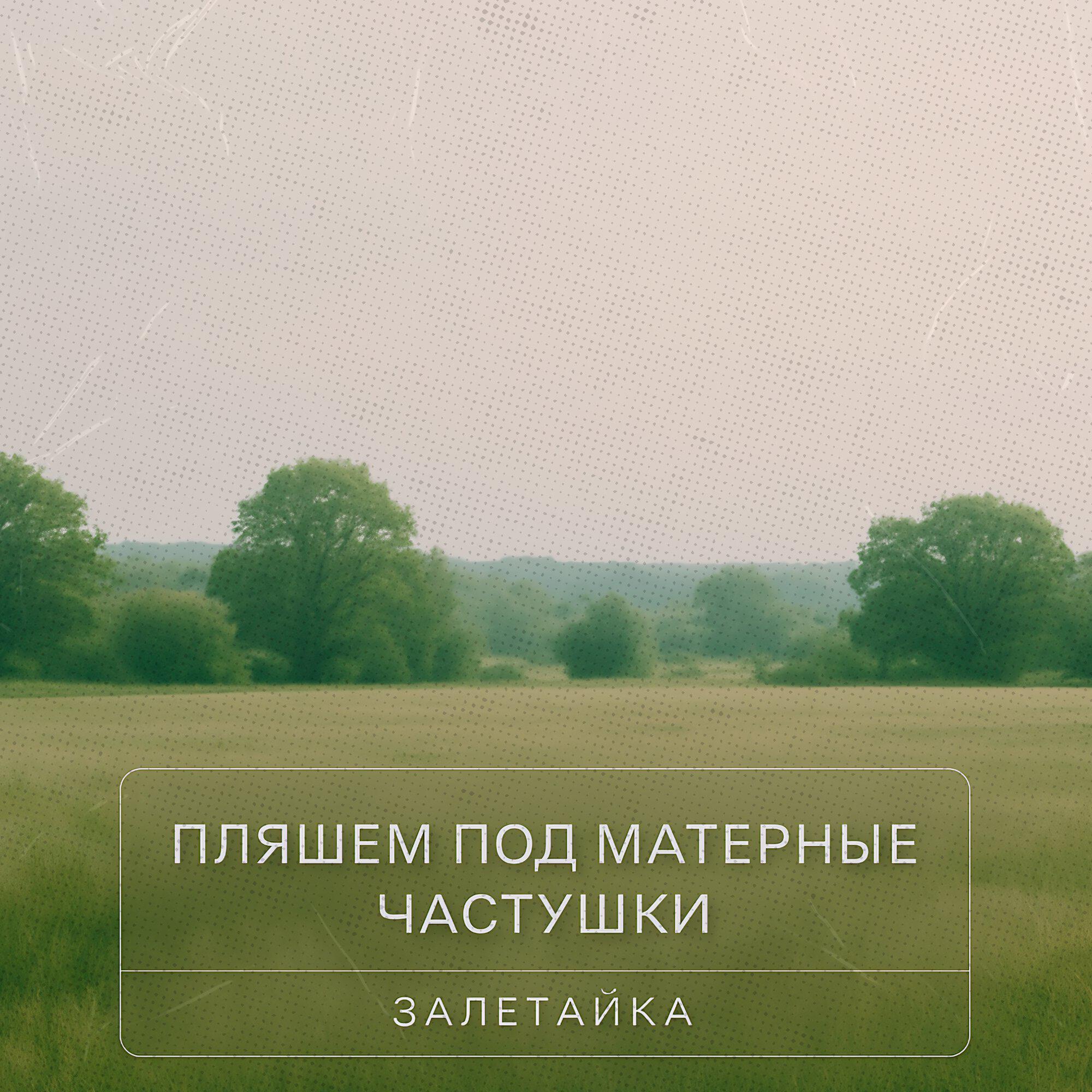 Пляшем под матерные частушки