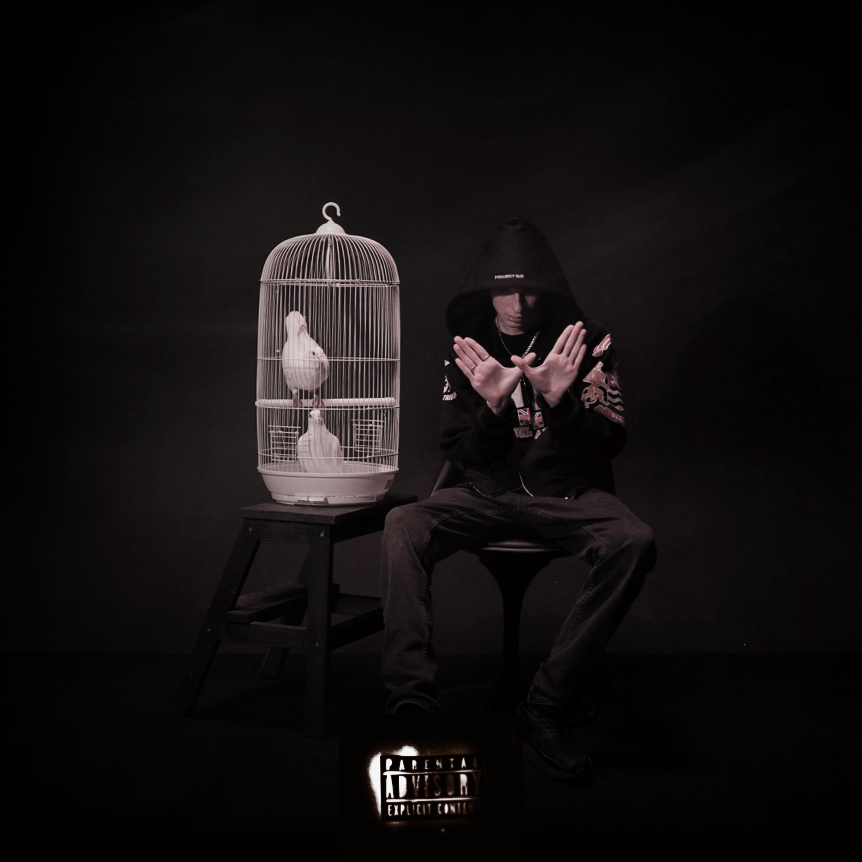 Альбом Birds in the trap исполнителя Supa sKKinny
