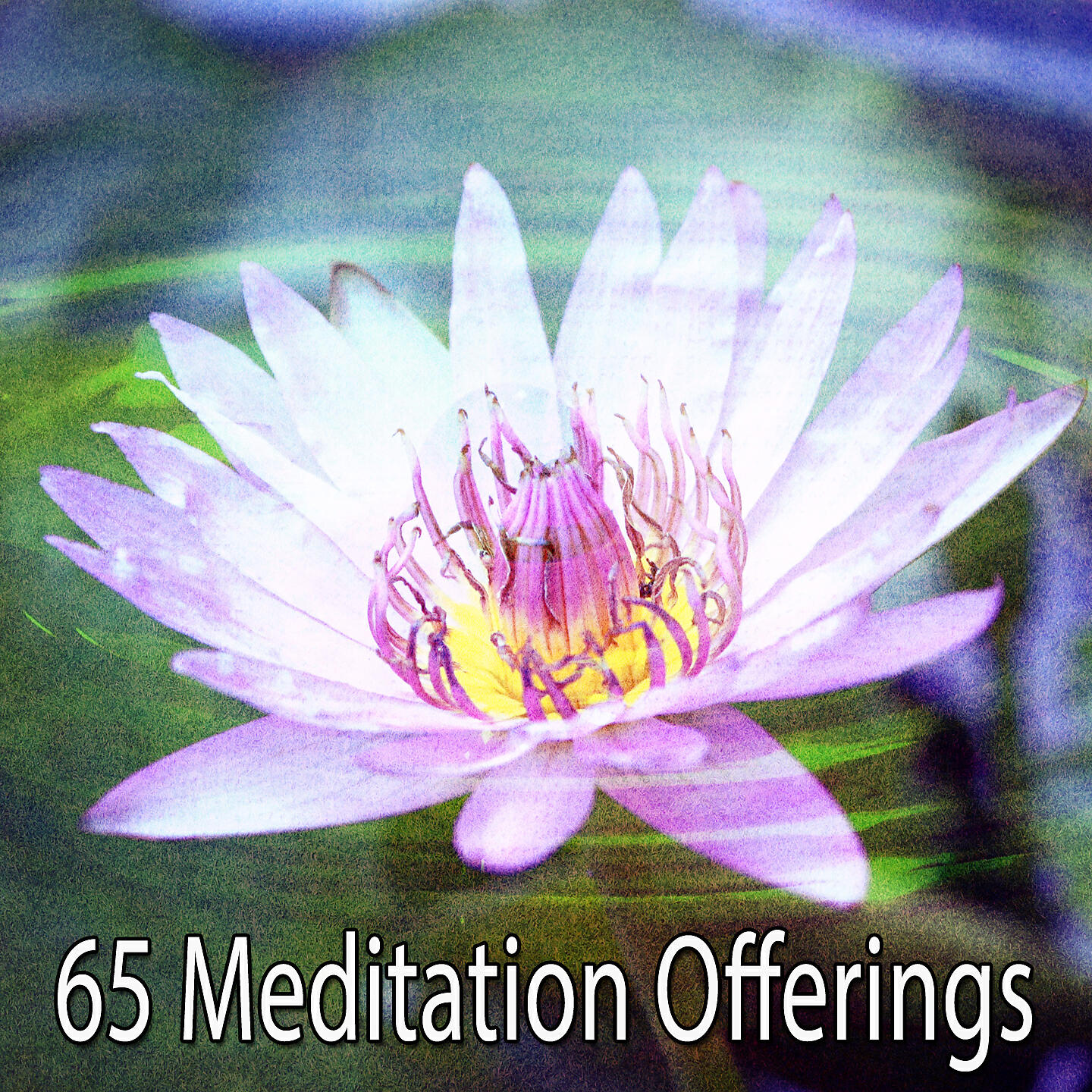 Massage Therapy Music - Wealth Of Wisdom